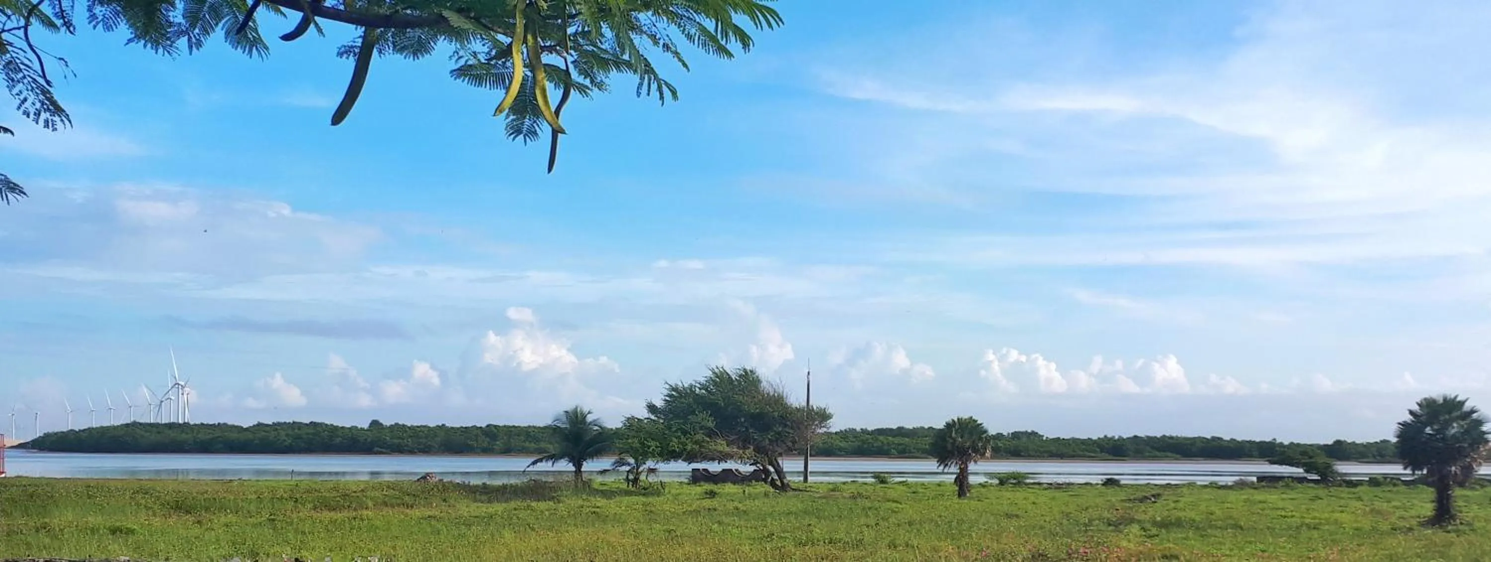 Natural landscape in Pousada Vila Cajuína - Luís Correia