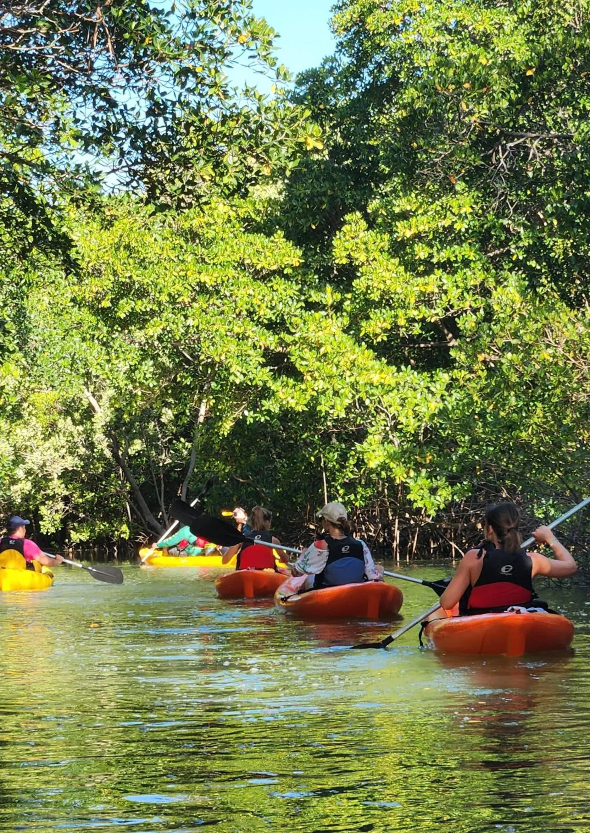 Canoeing in Pousada Vila Cajuína - Luís Correia