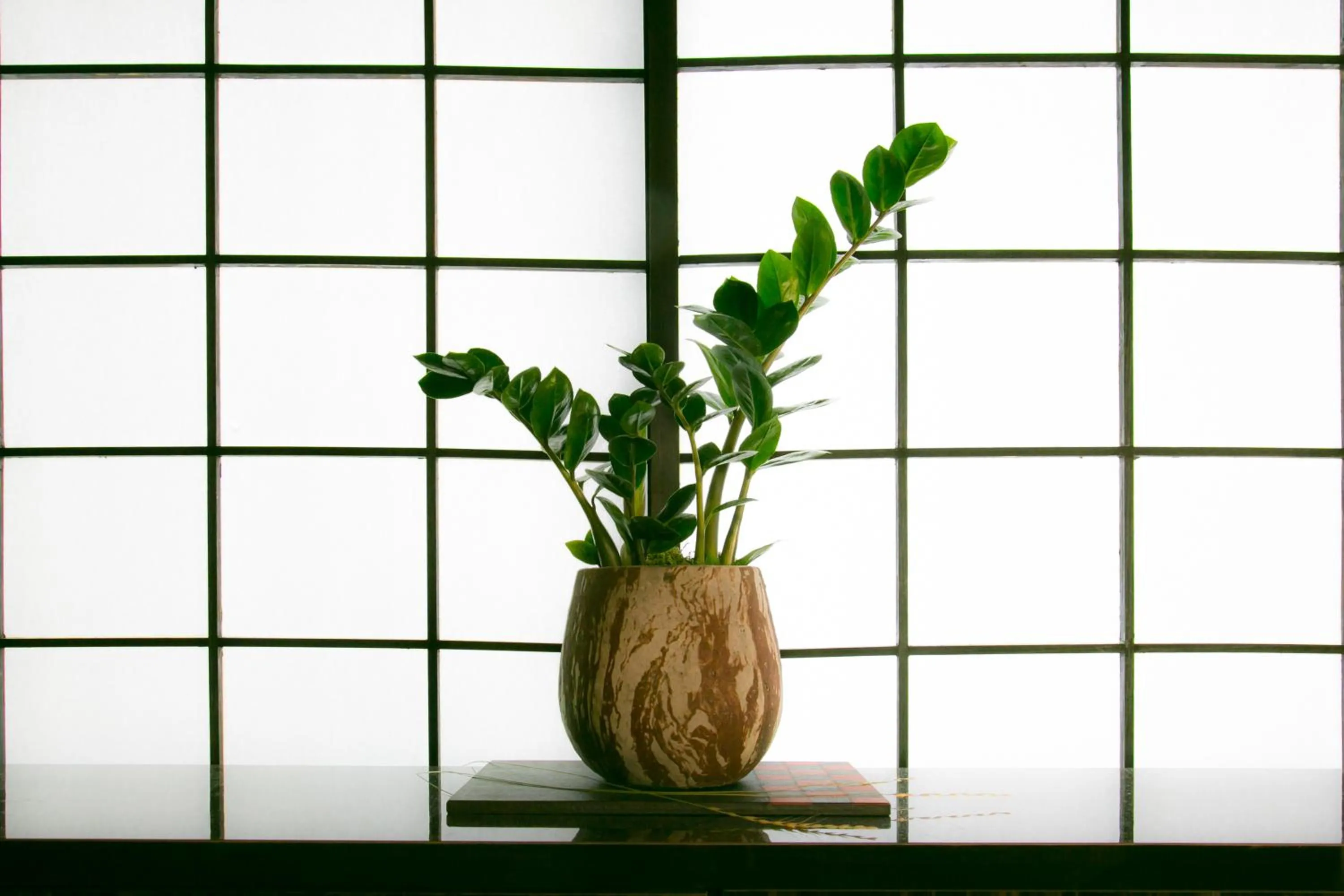 Decorative detail in Hosta Nijo Aoi