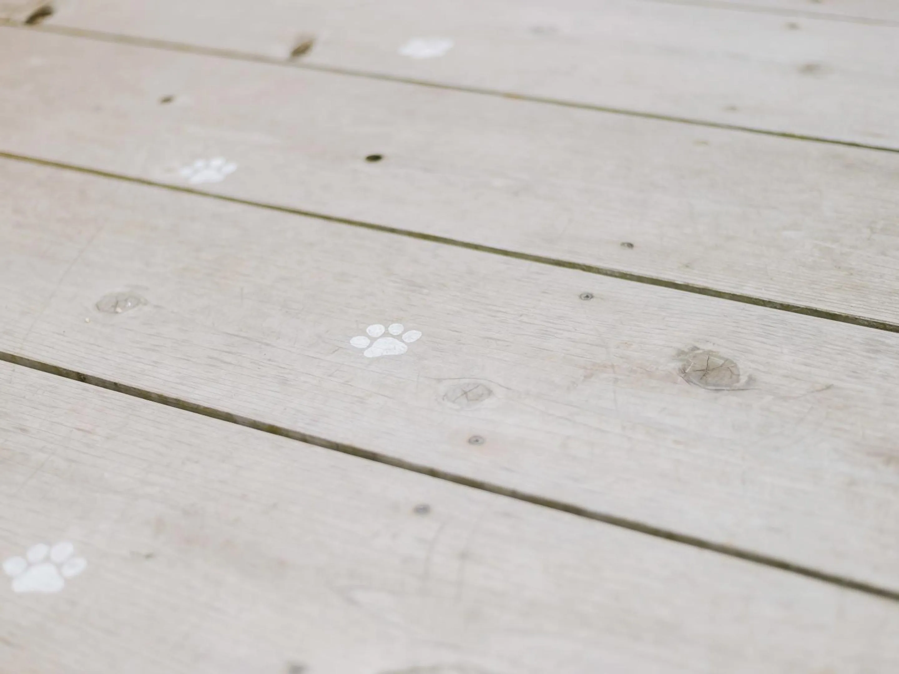 Area and facilities in guesthouse SHIBAFU