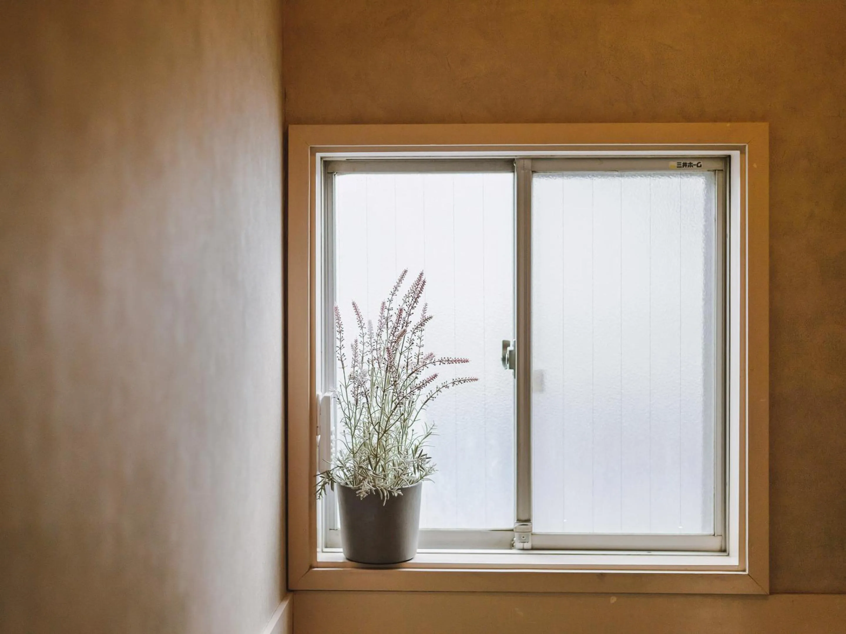 Area and facilities in guesthouse SHIBAFU