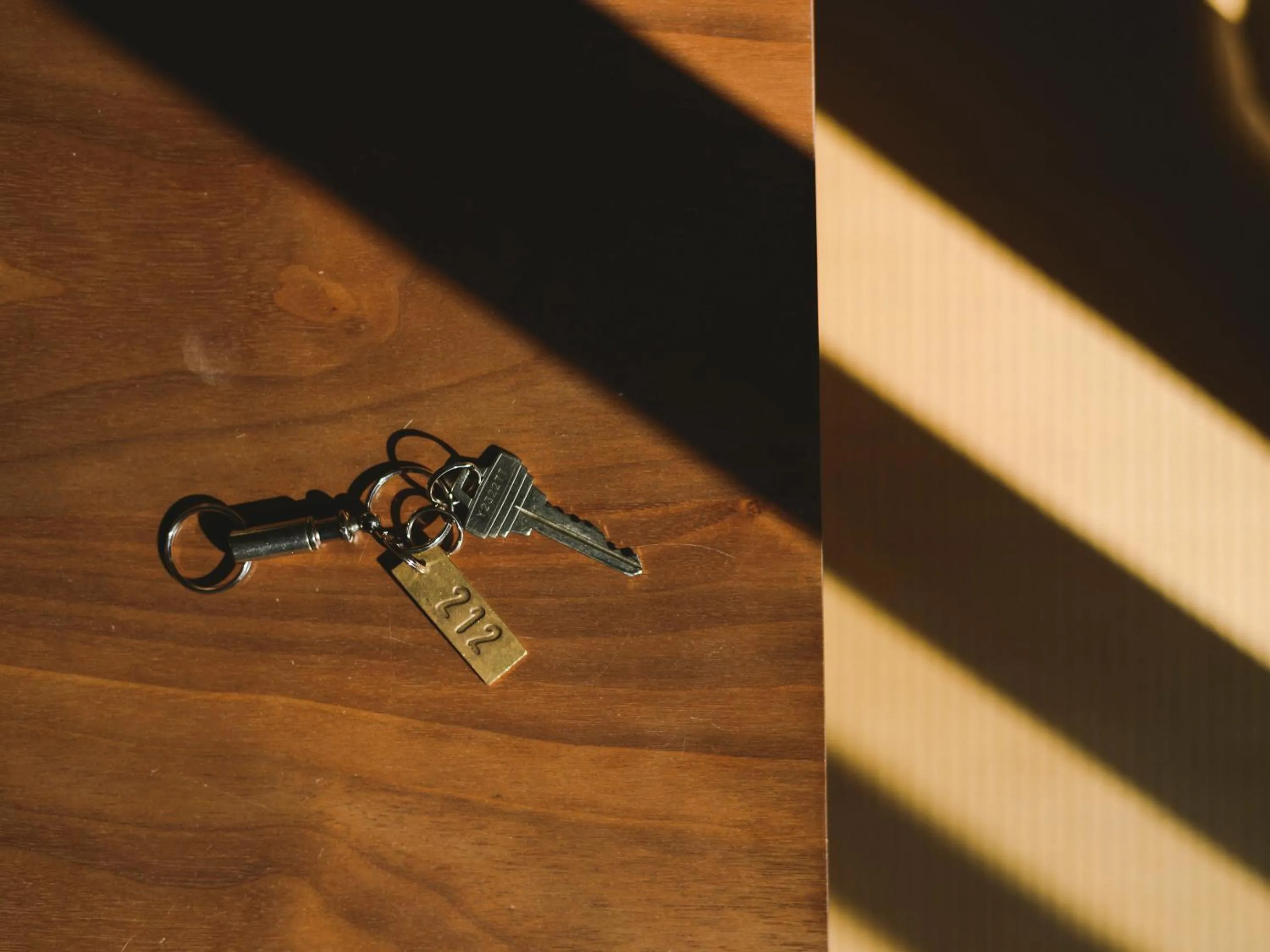 Area and facilities in guesthouse SHIBAFU