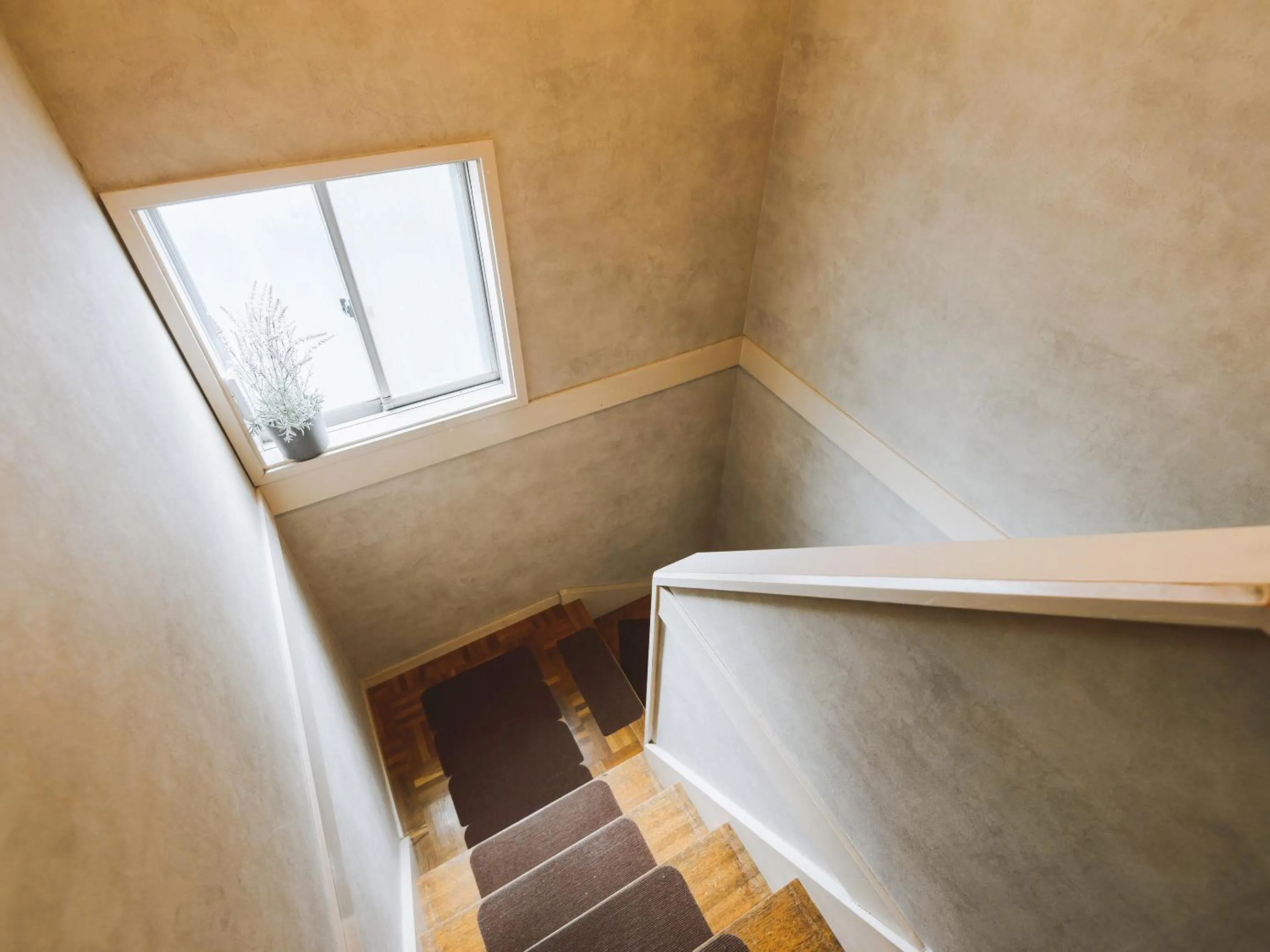 Area and facilities in guesthouse SHIBAFU