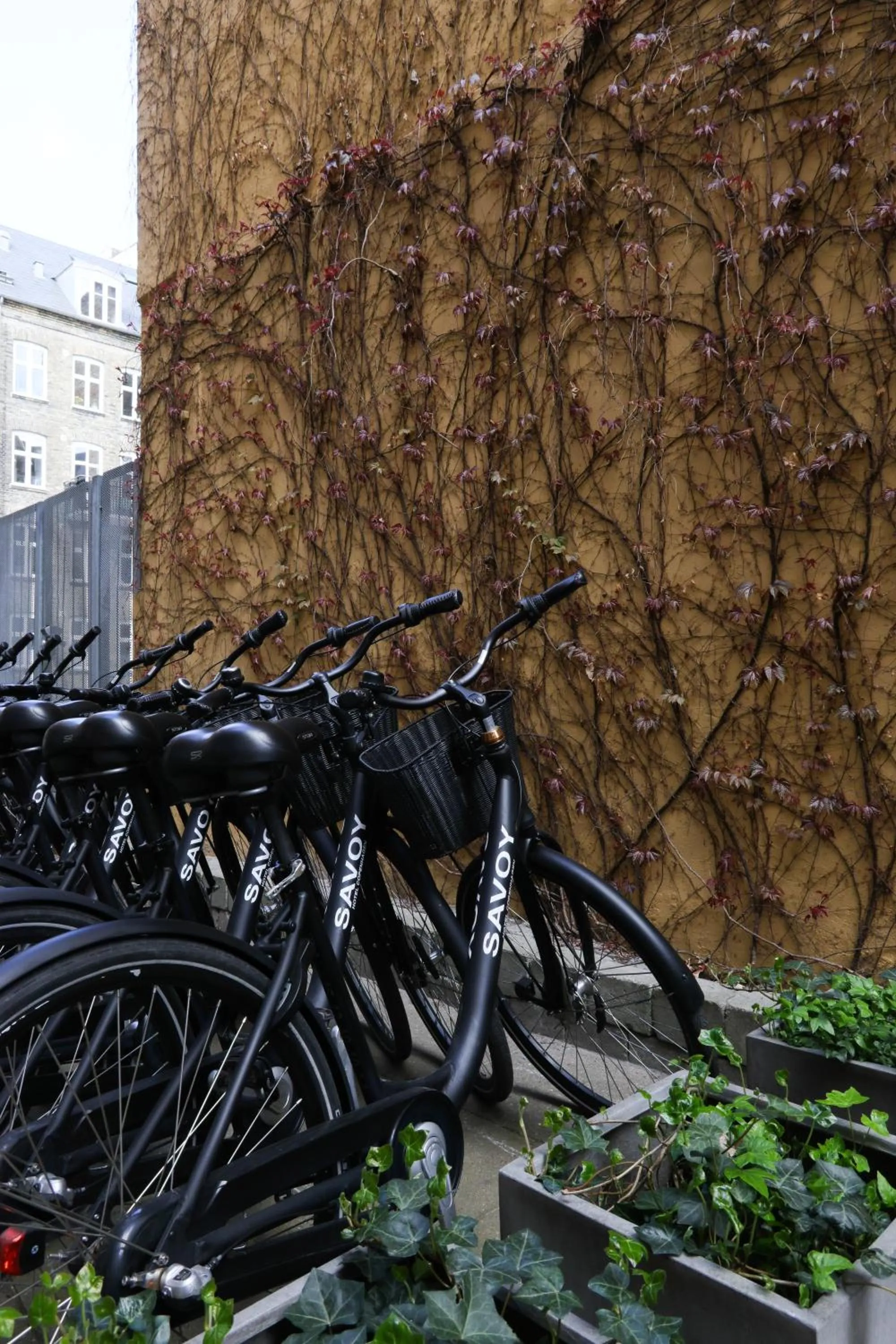 Garden in Savoy Hotel