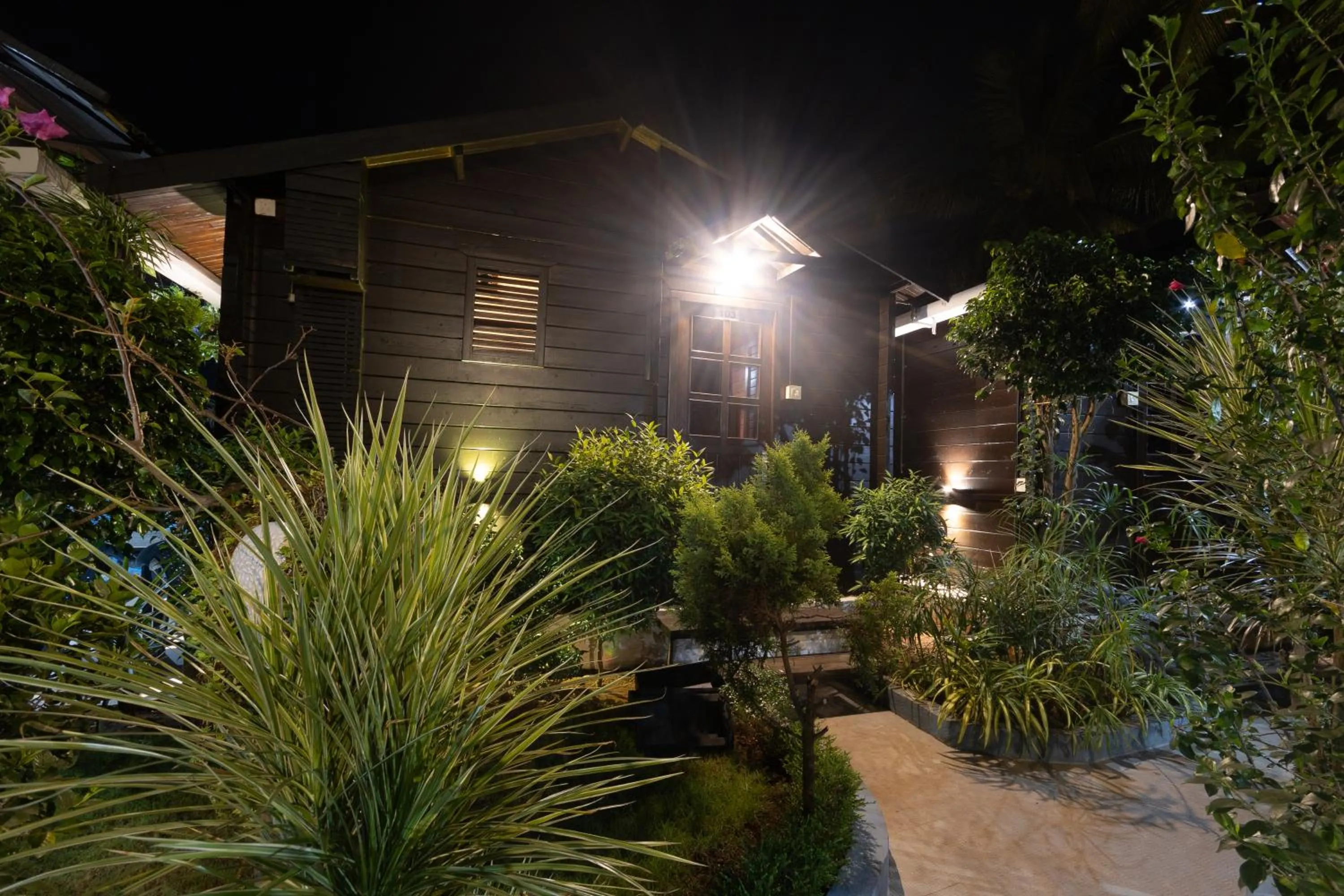 Night in Sal Riviera