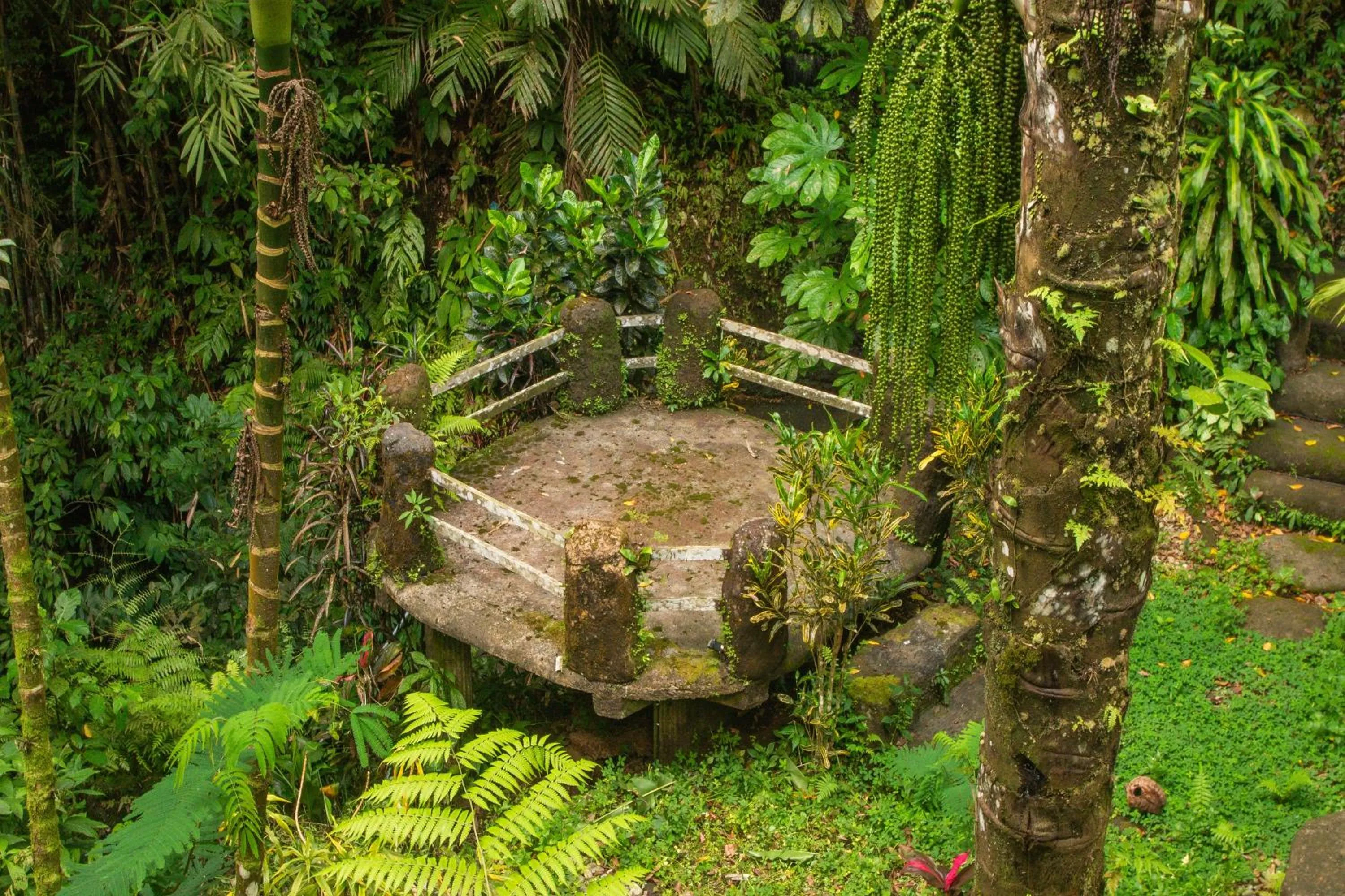 Property building in Bali Jungle Resort