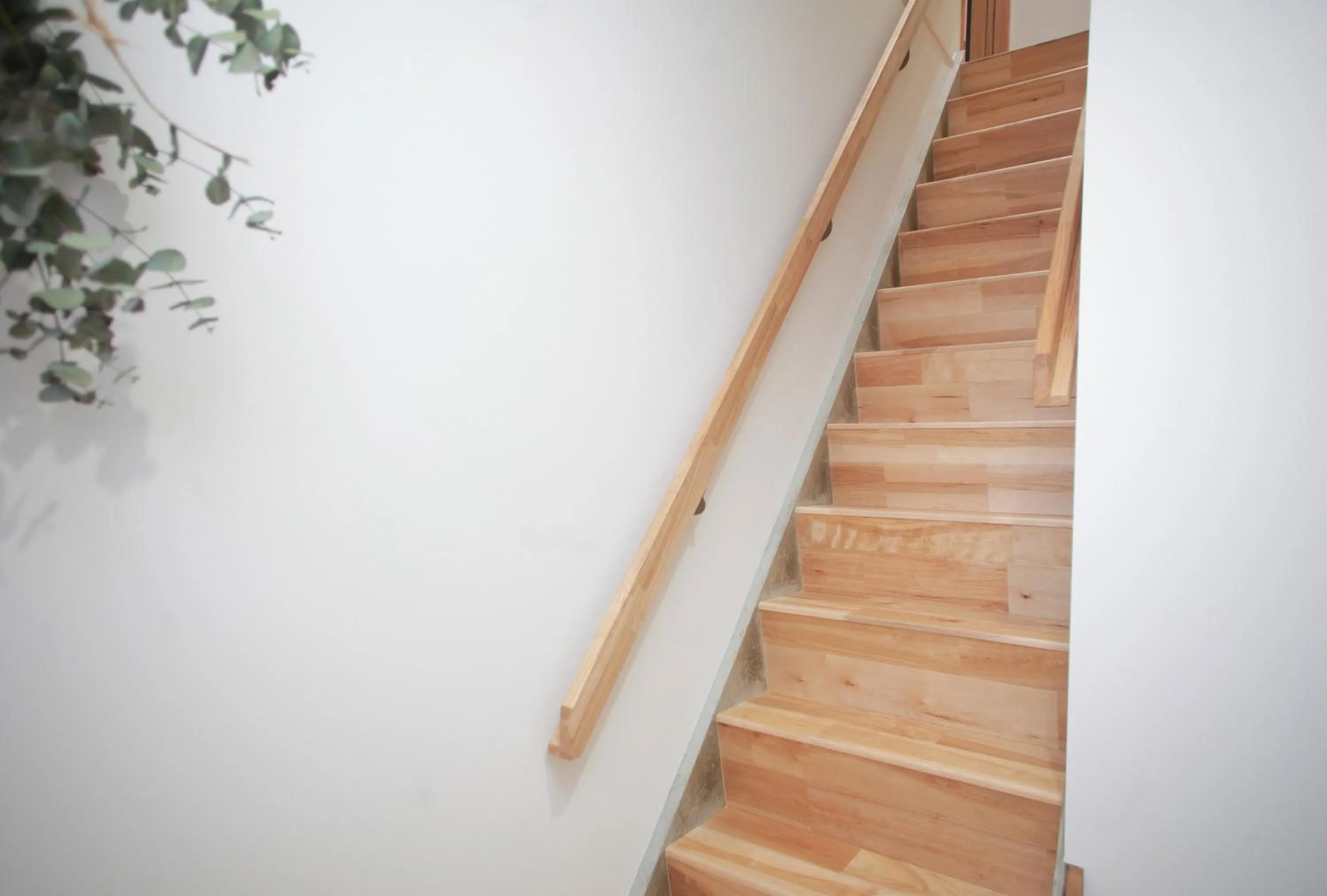 Area and facilities in INTRO Tamagawa