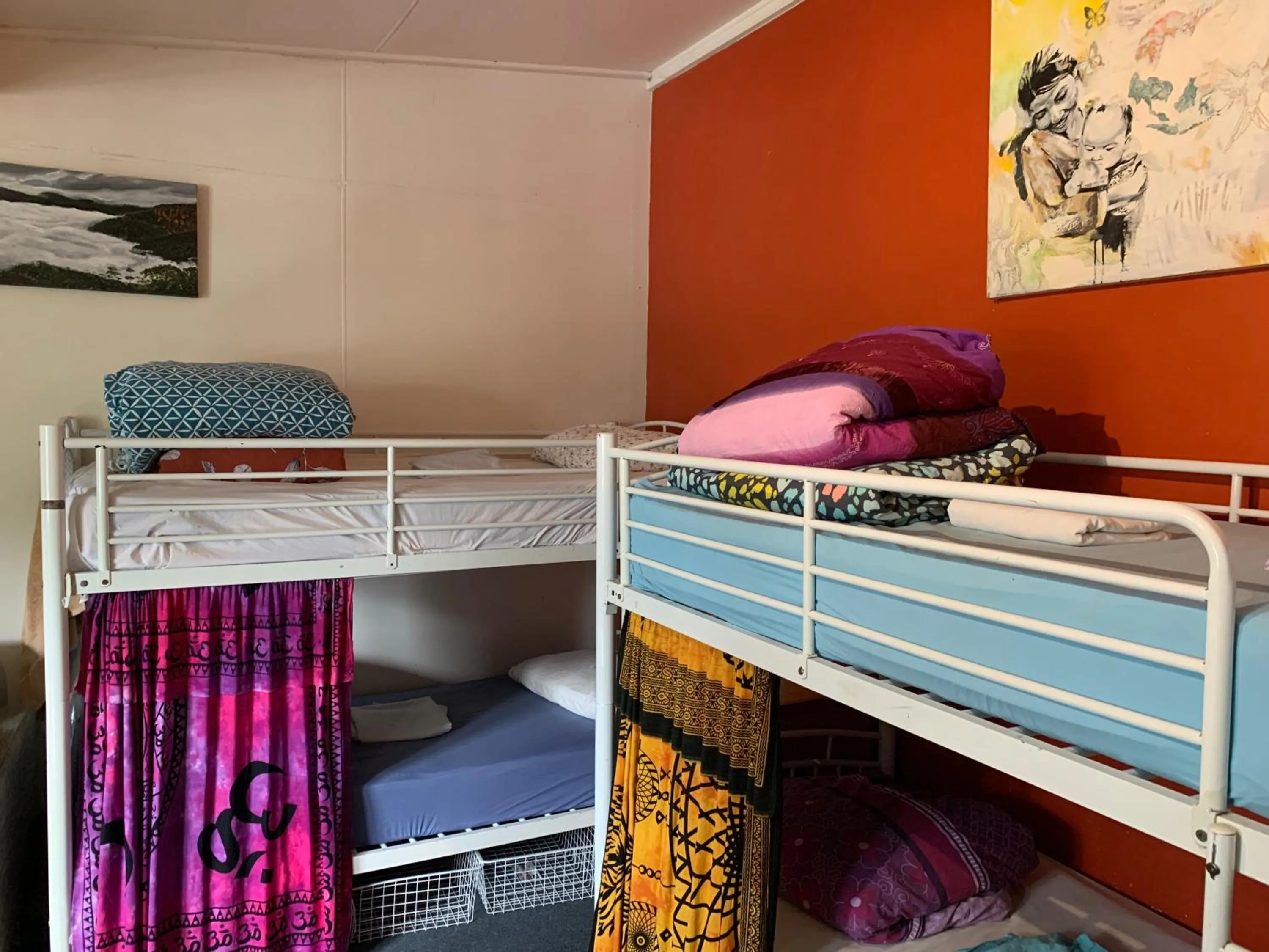 Photo of the whole room, Bed in Flying Fox Backpackers