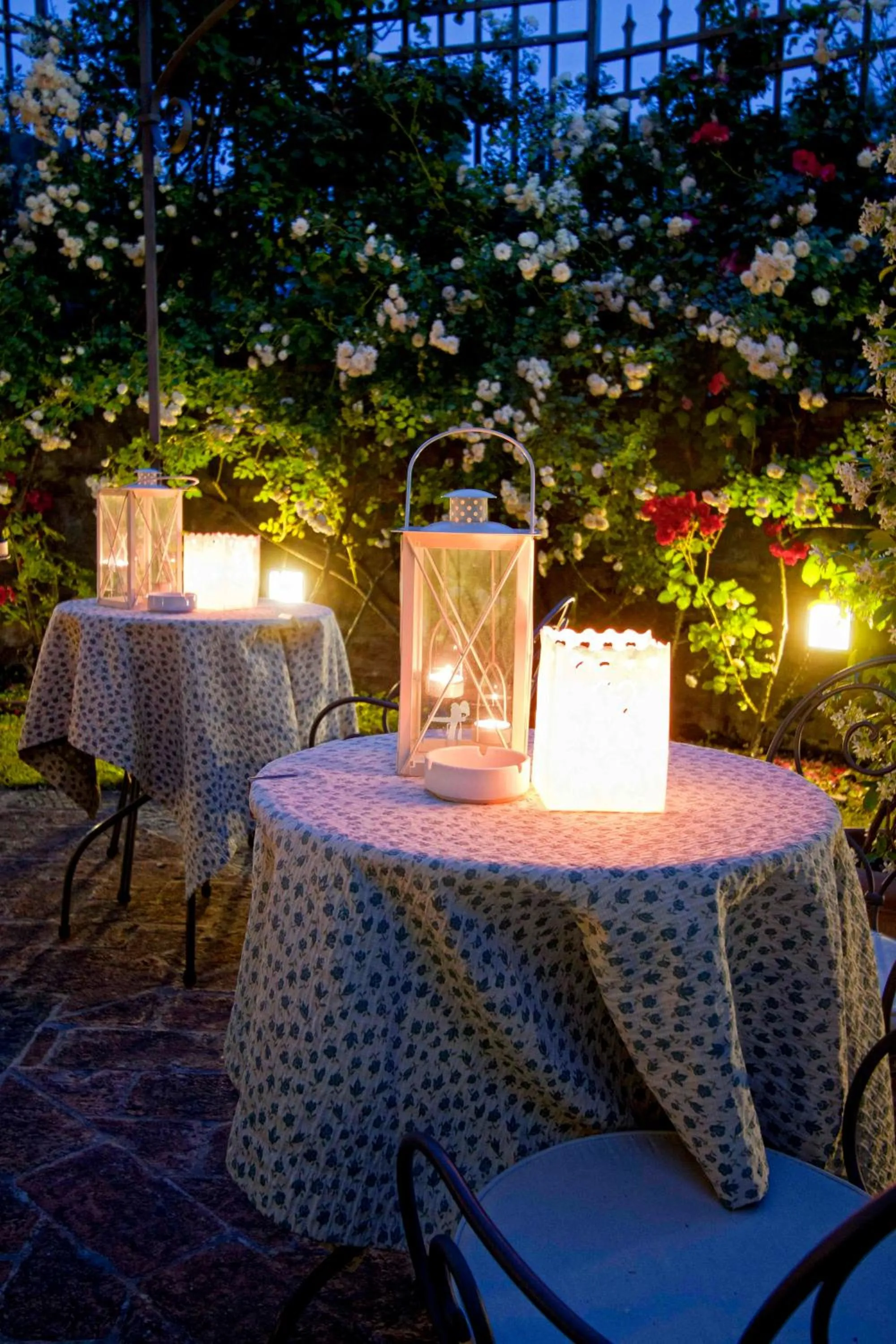 Garden in Hotel Villa Marsili