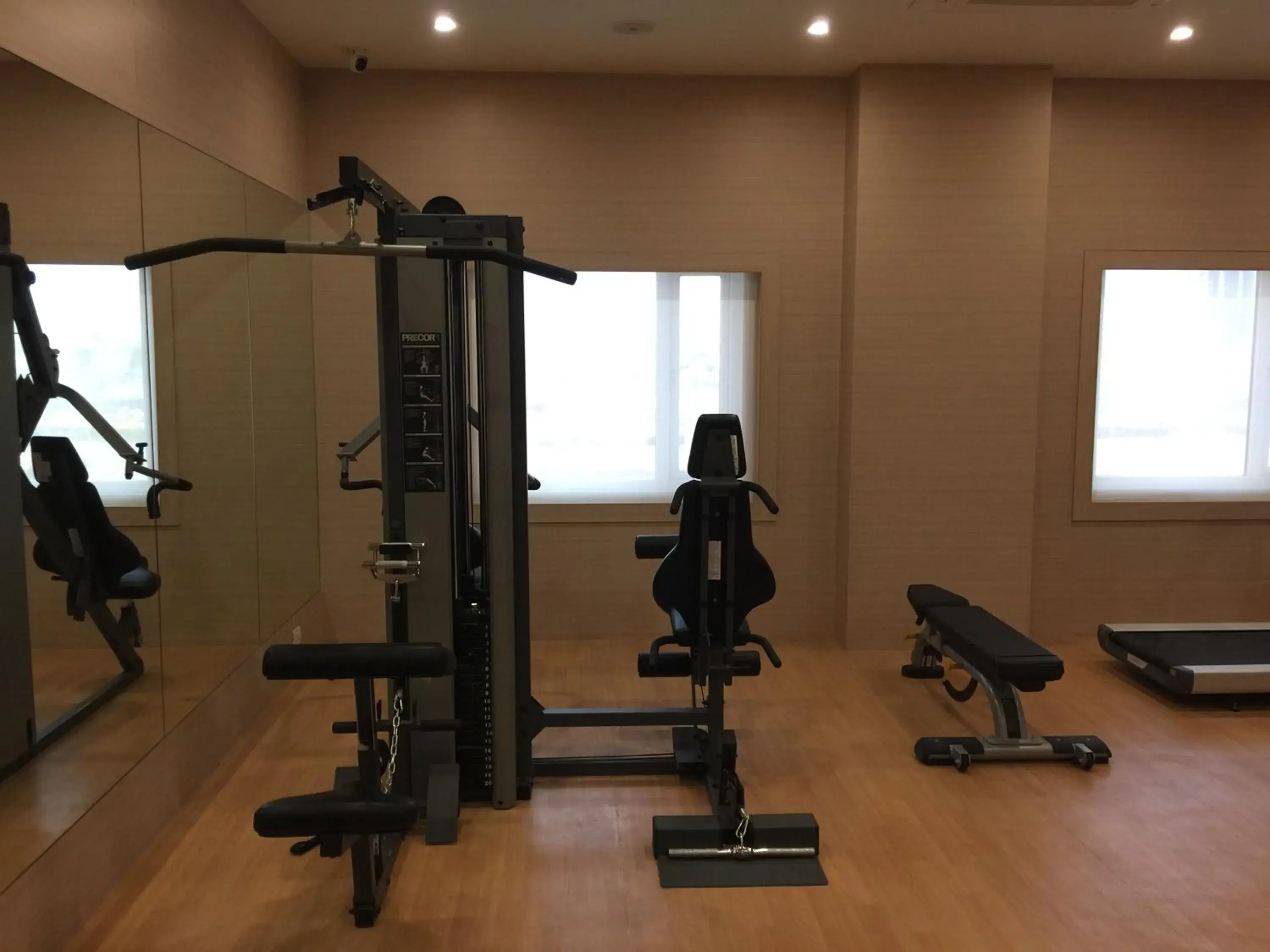 Fitness centre/facilities, Fitness Center/Facilities in Red Fox Hotel, Sector 60, Gurugram