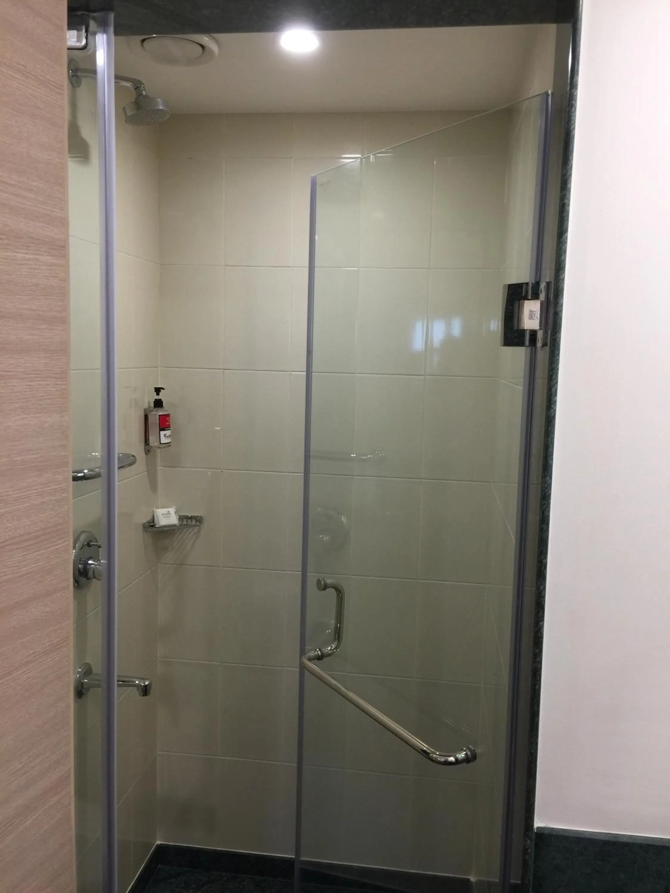 Bathroom in Red Fox by Lemon Tree Hotels, Sector 60, Gurugram