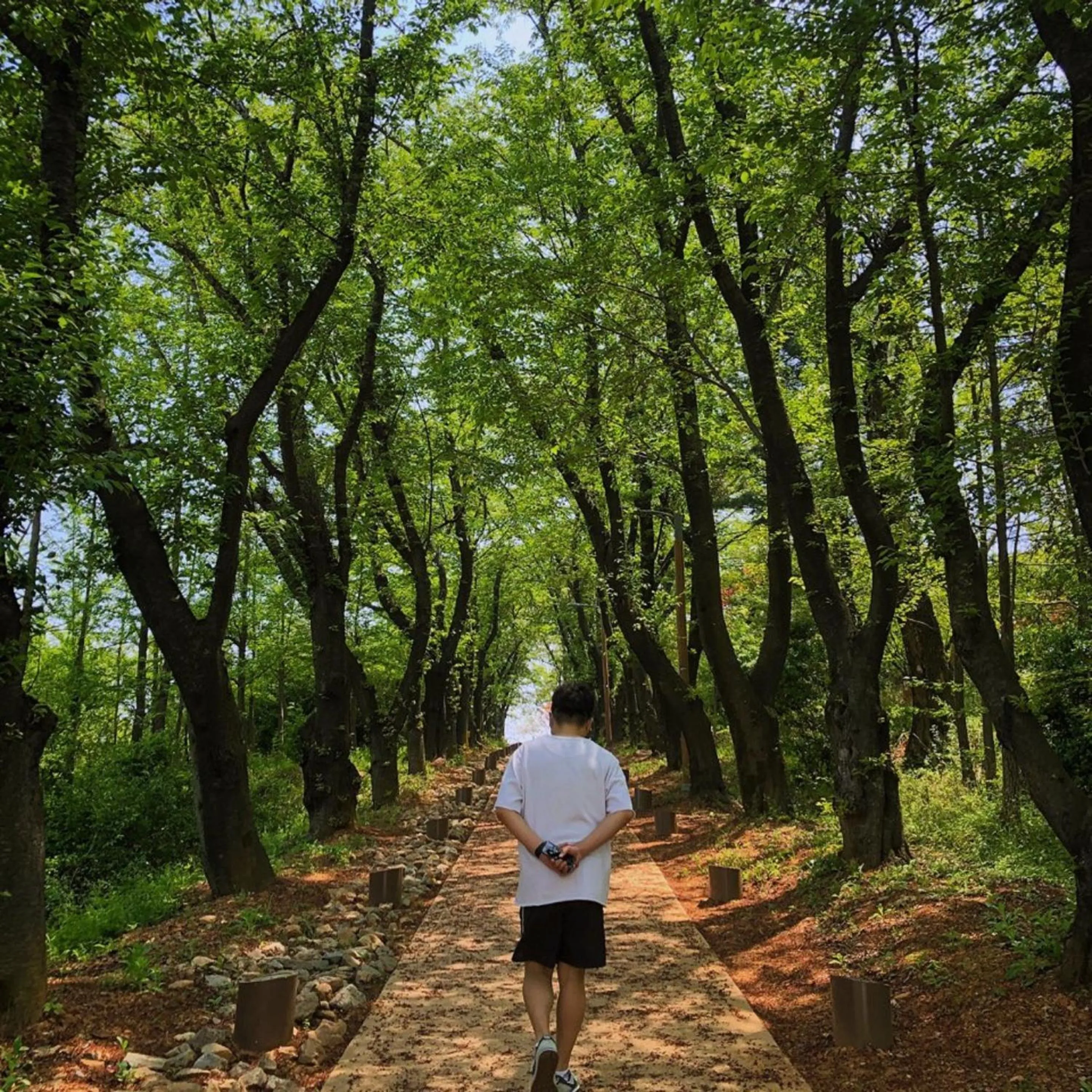 Natural landscape in Royal Emporium Incheon Airport