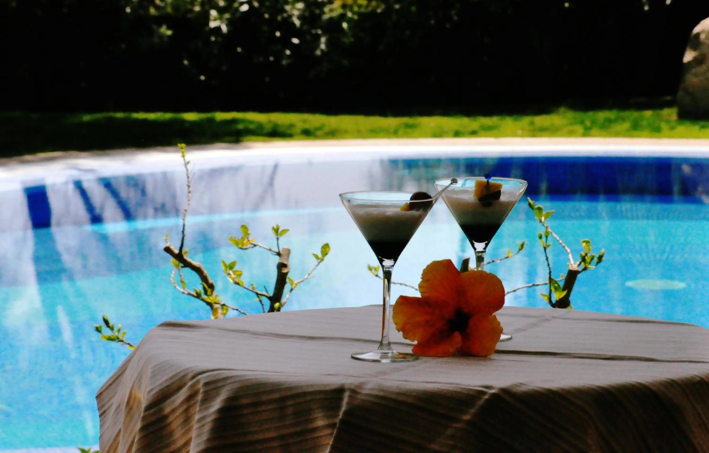 Drinks in Hotel Su Giganti