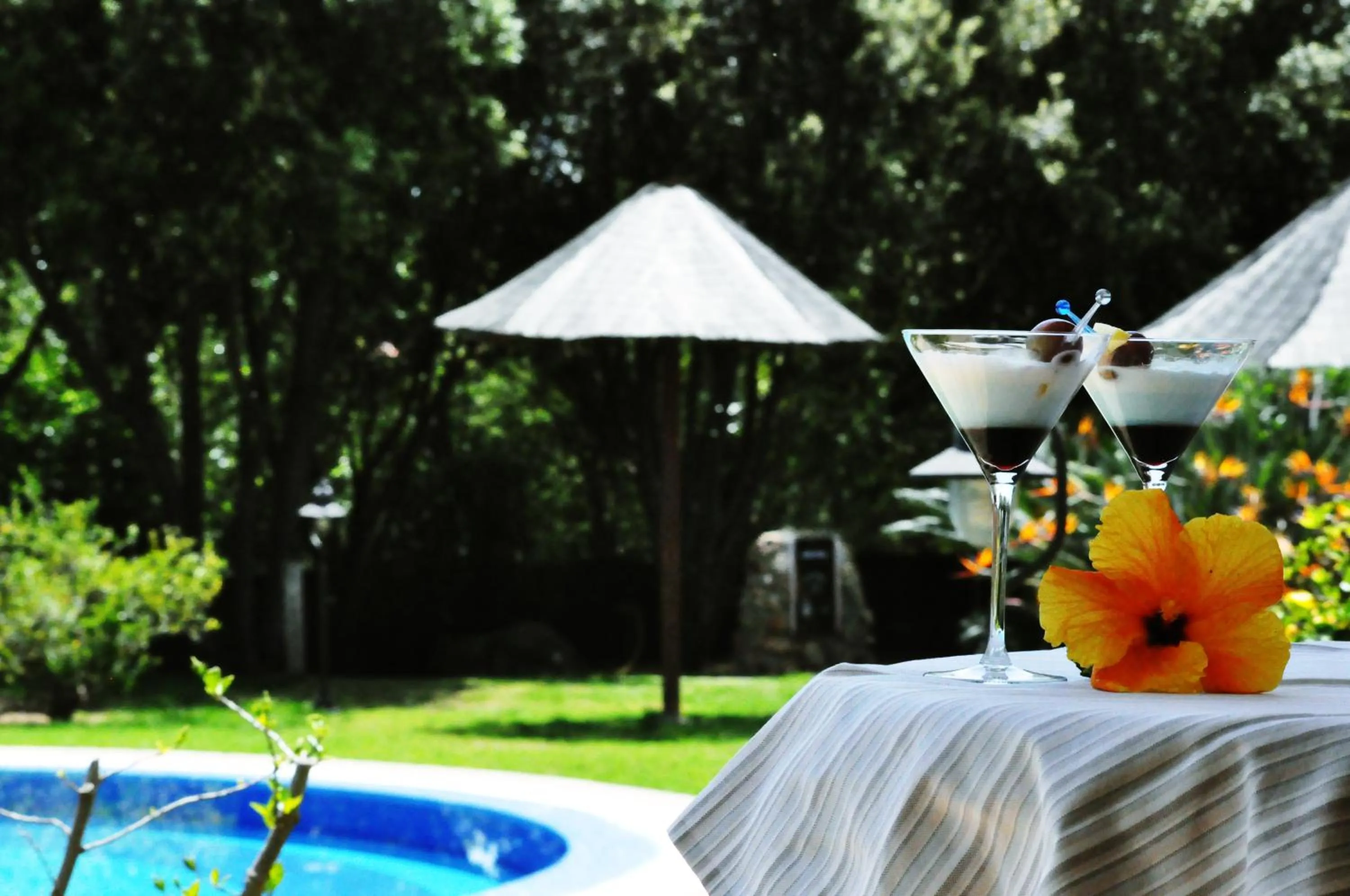 Drinks in Hotel Su Giganti