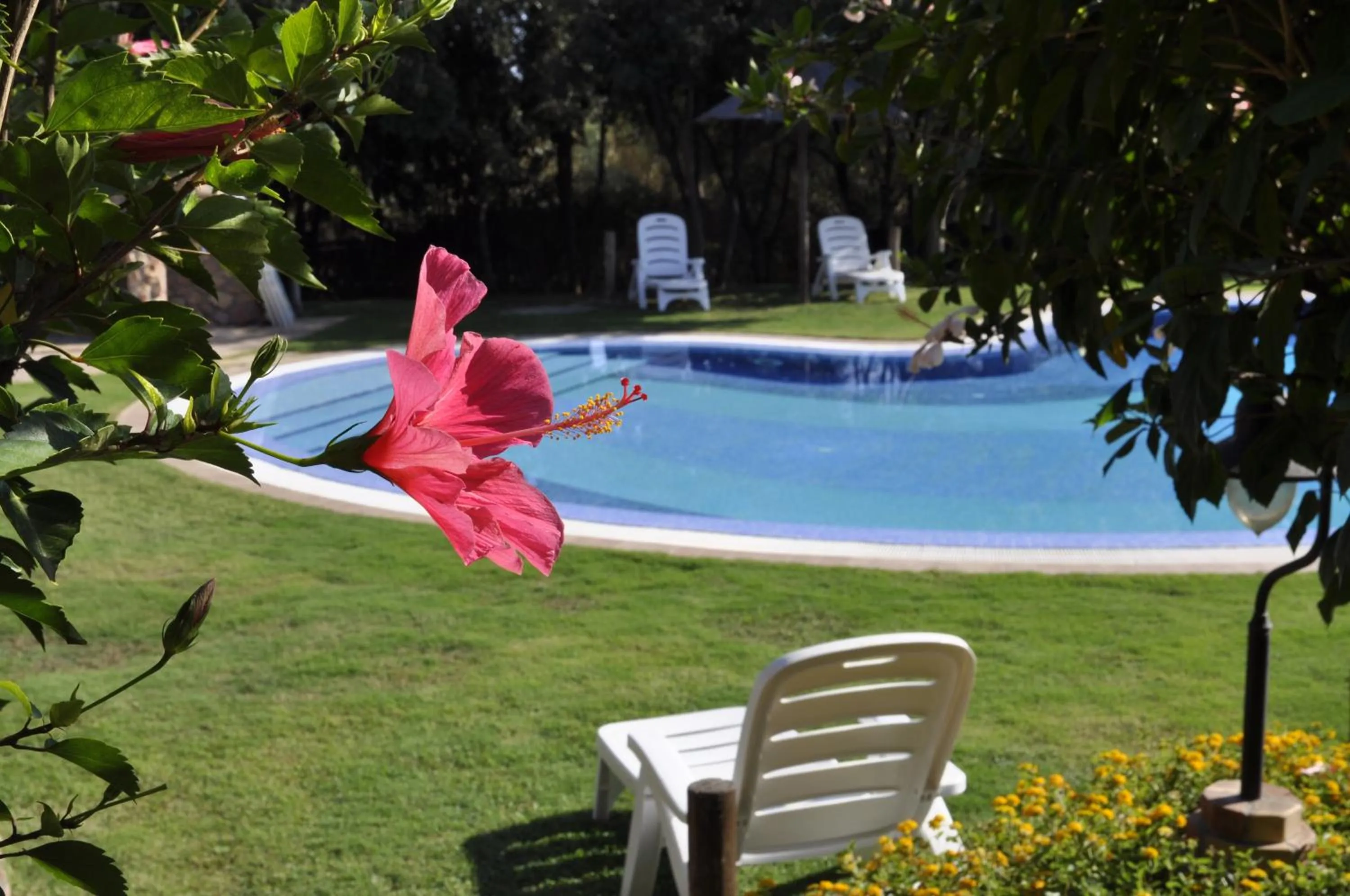Swimming pool in Hotel Su Giganti