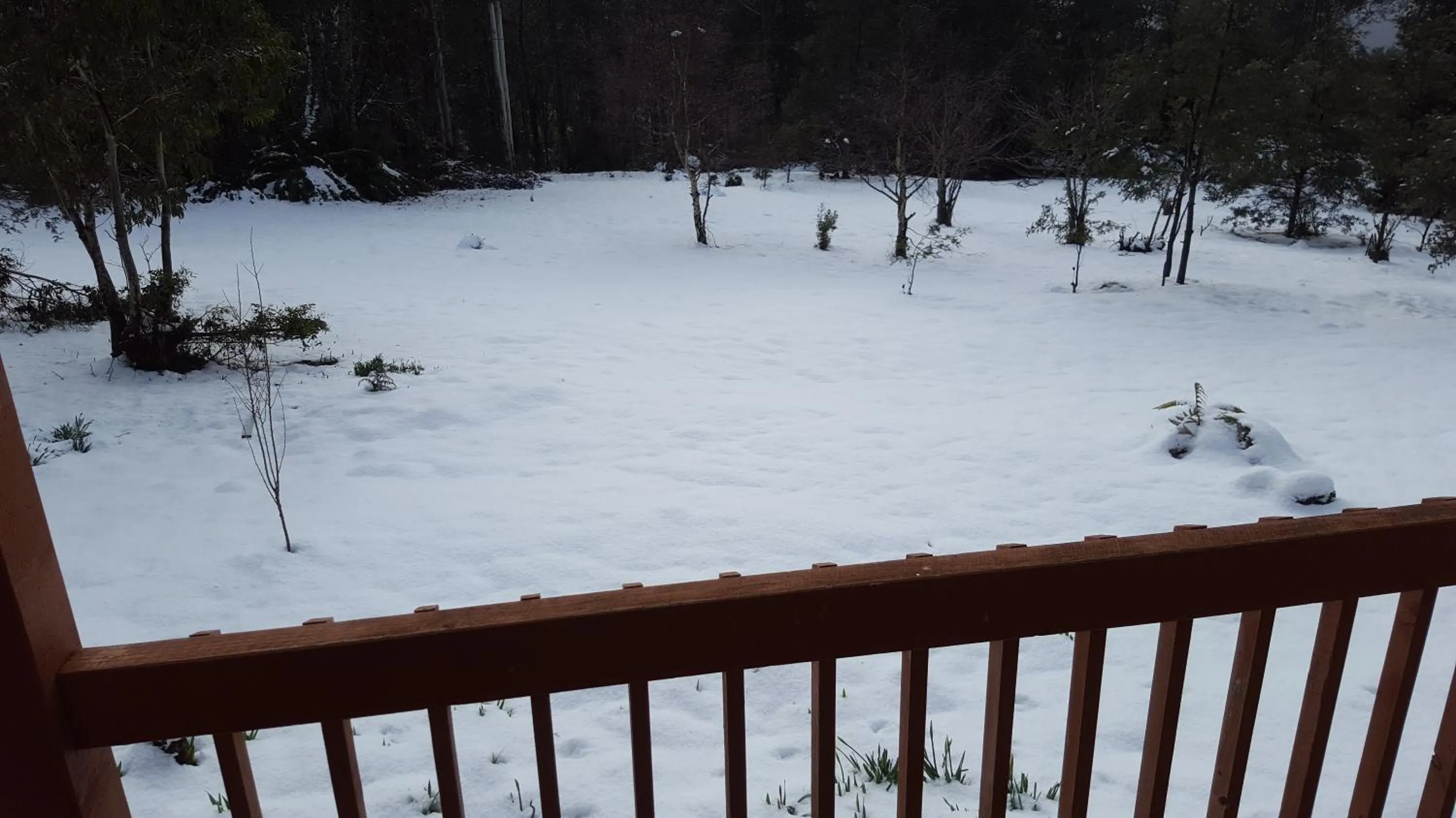 Spring in Cradle Alpine Retreat