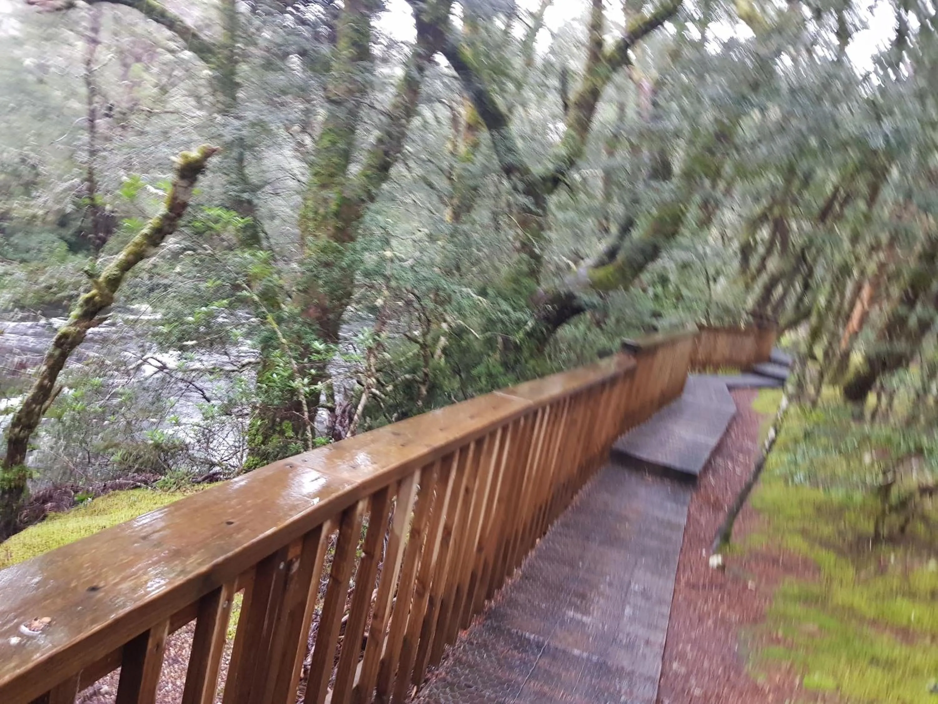 Hiking in Cradle Alpine Retreat