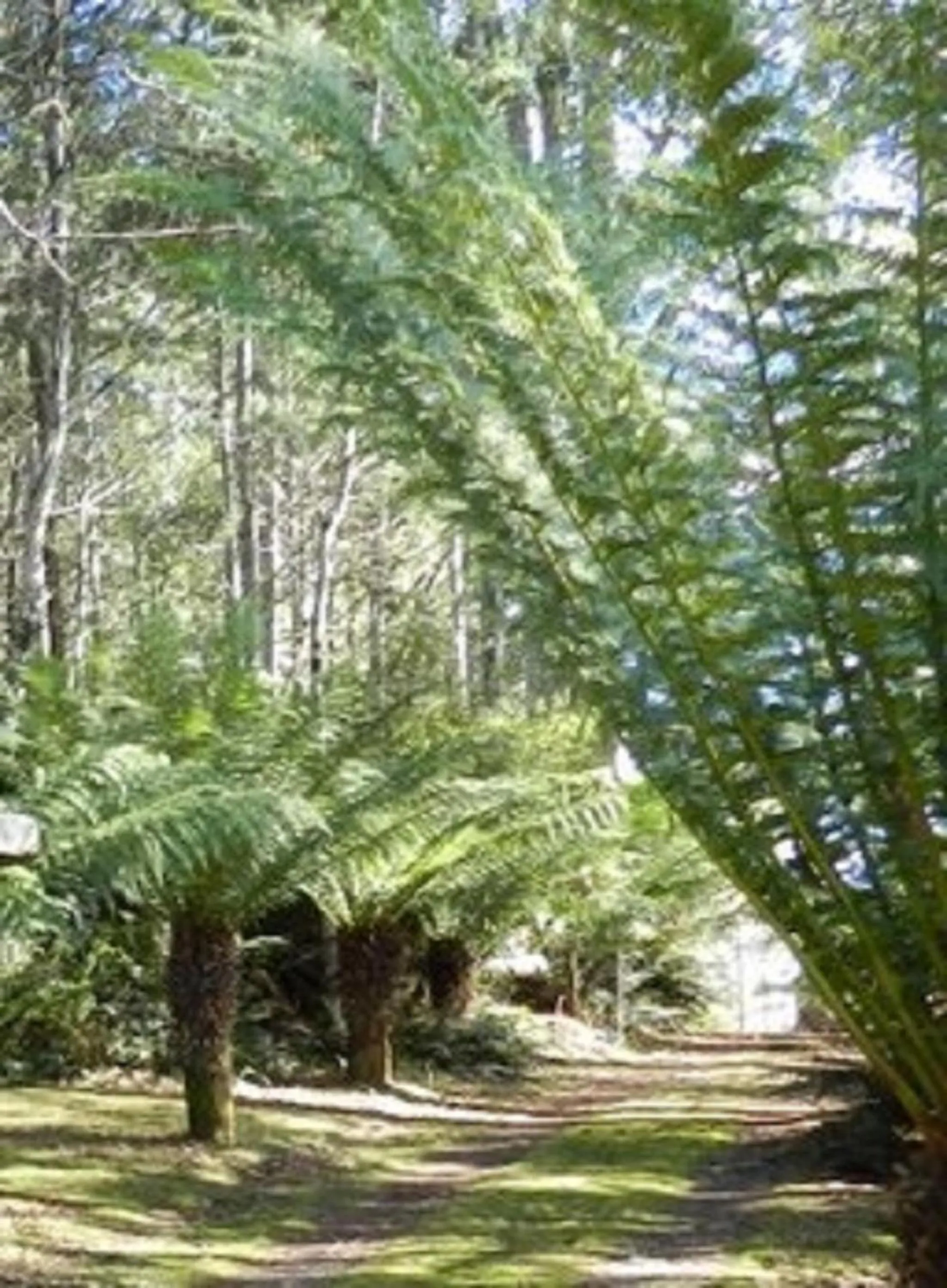 Area and facilities in Cradle Alpine Retreat