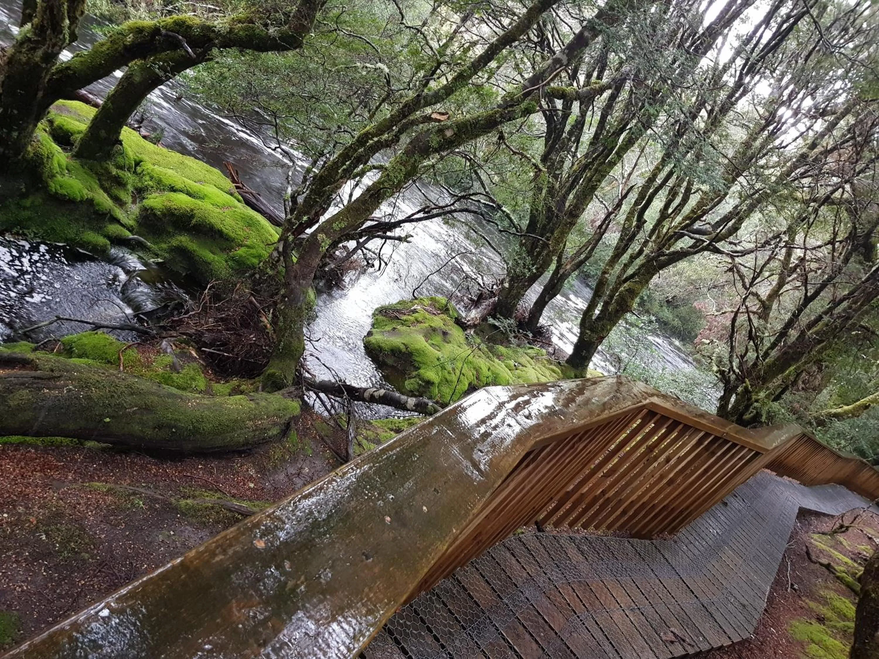 Neighbourhood in Cradle Alpine Retreat