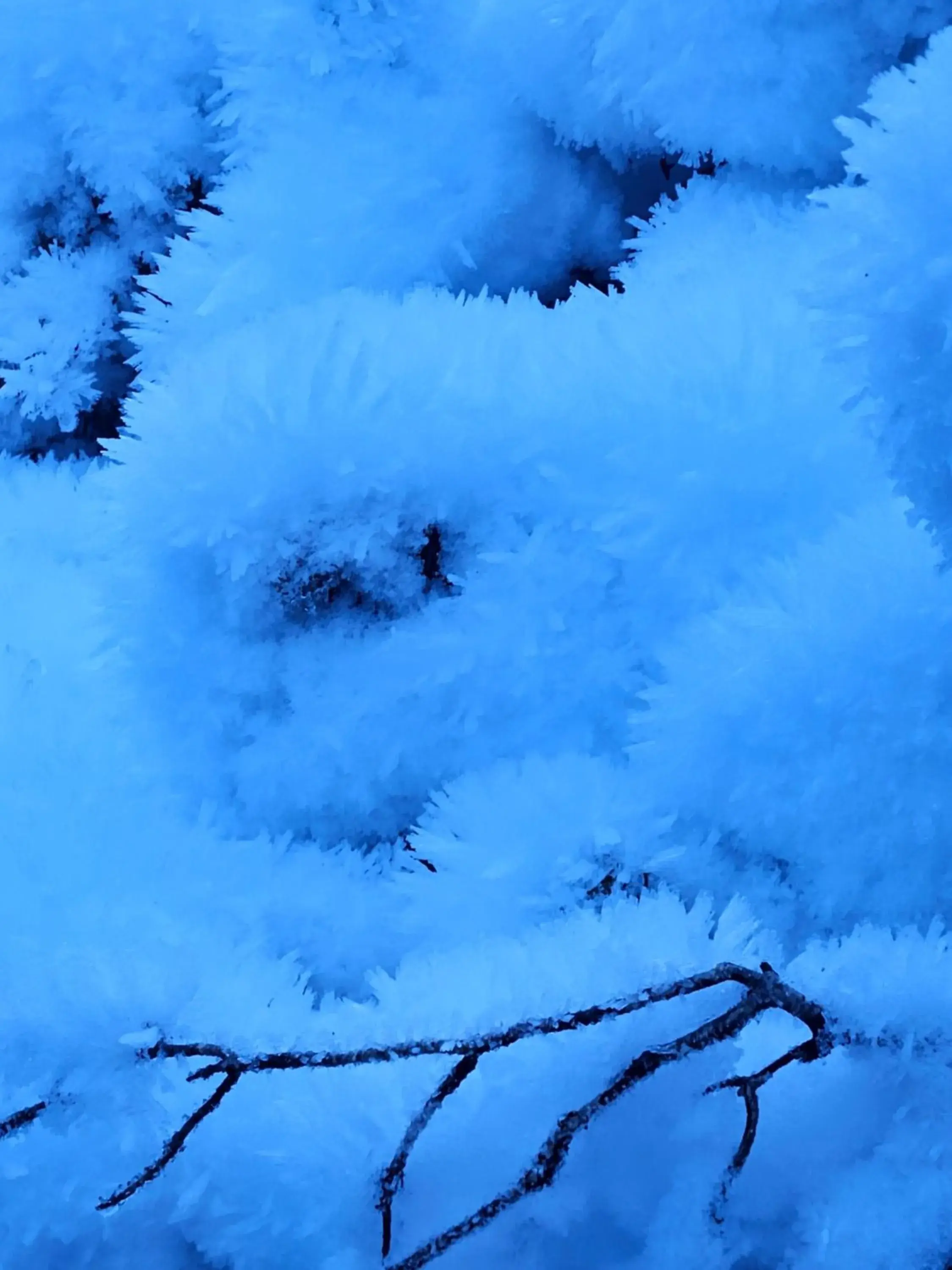 Cradle Alpine Retreat Cradle Alpine Retreat