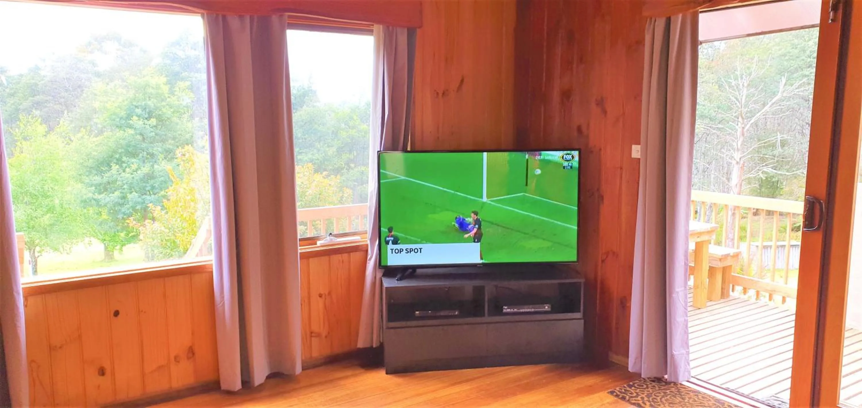 TV and multimedia in Cradle Alpine Retreat