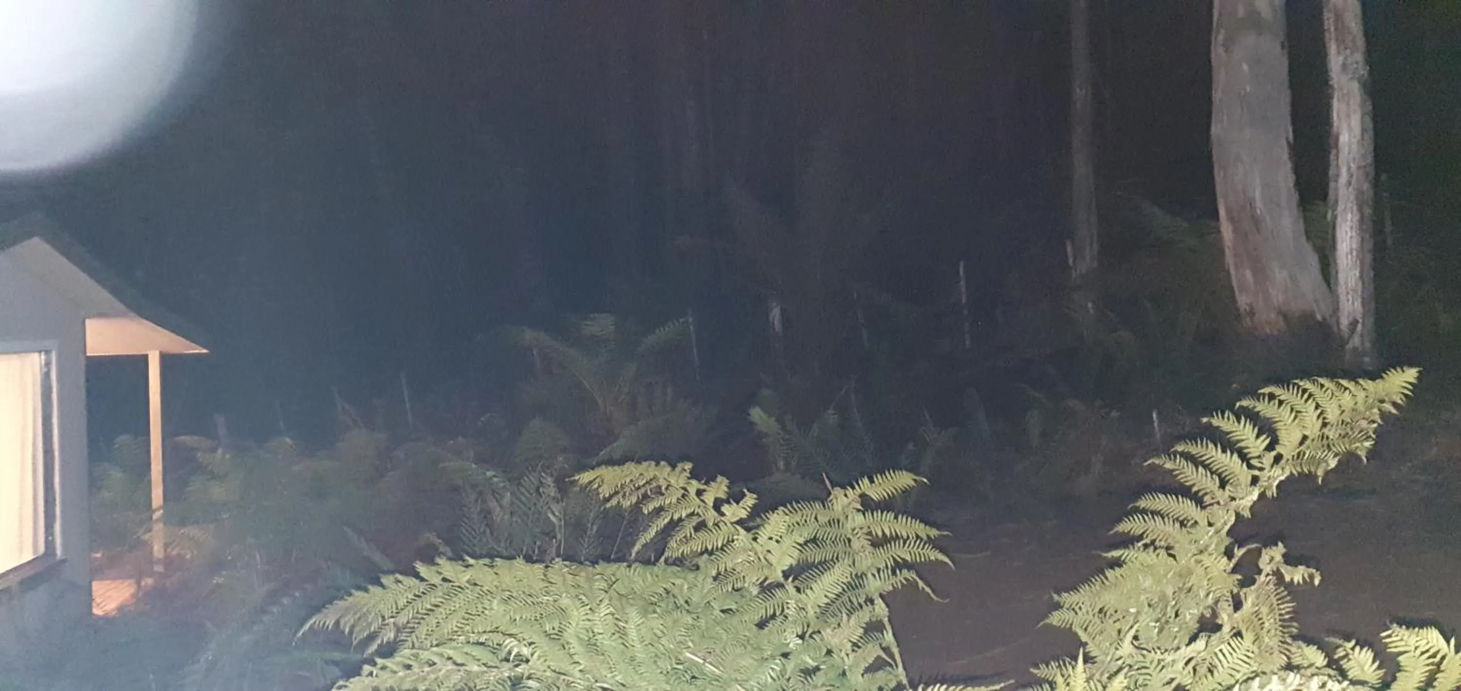 Garden in Cradle Alpine Retreat