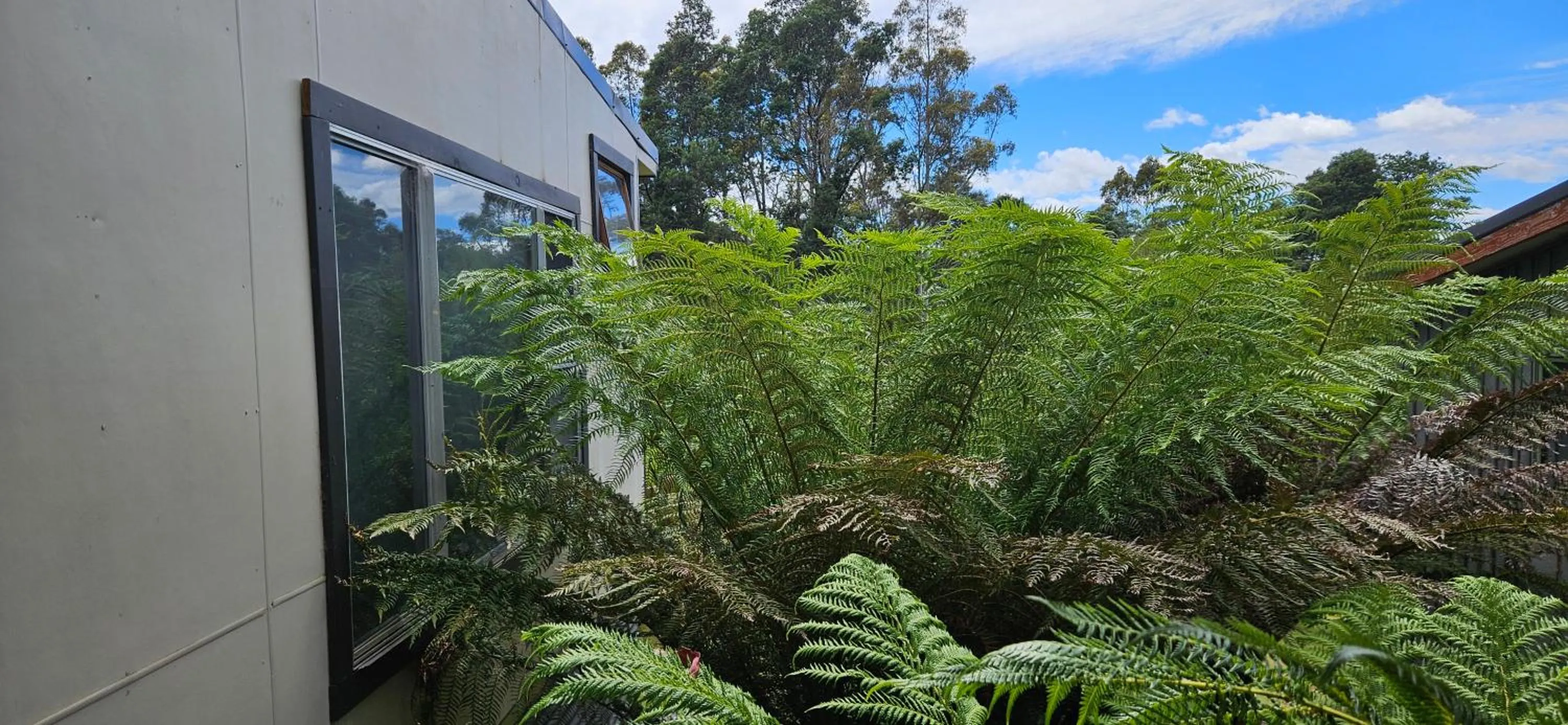 Property building in Cradle Alpine Retreat