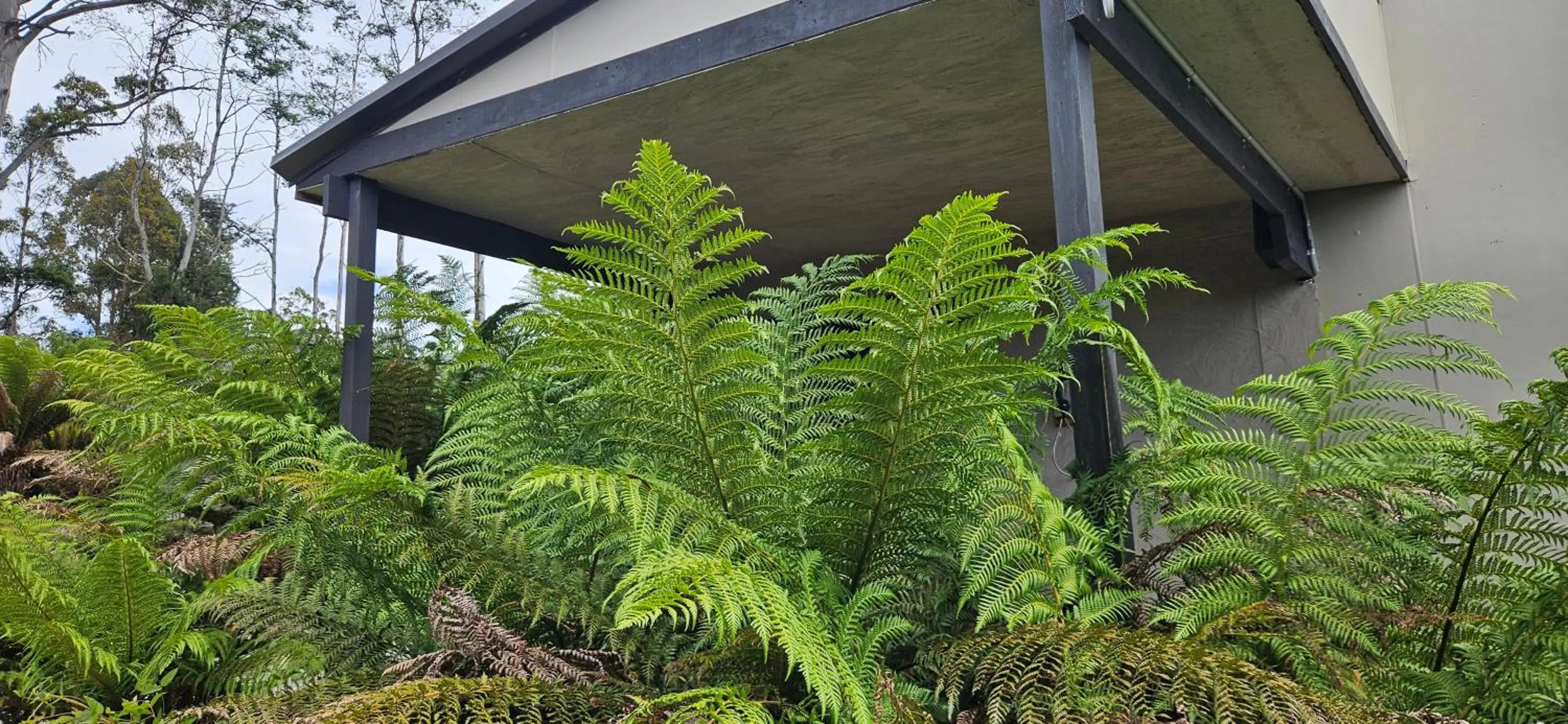 Property building in Cradle Alpine Retreat