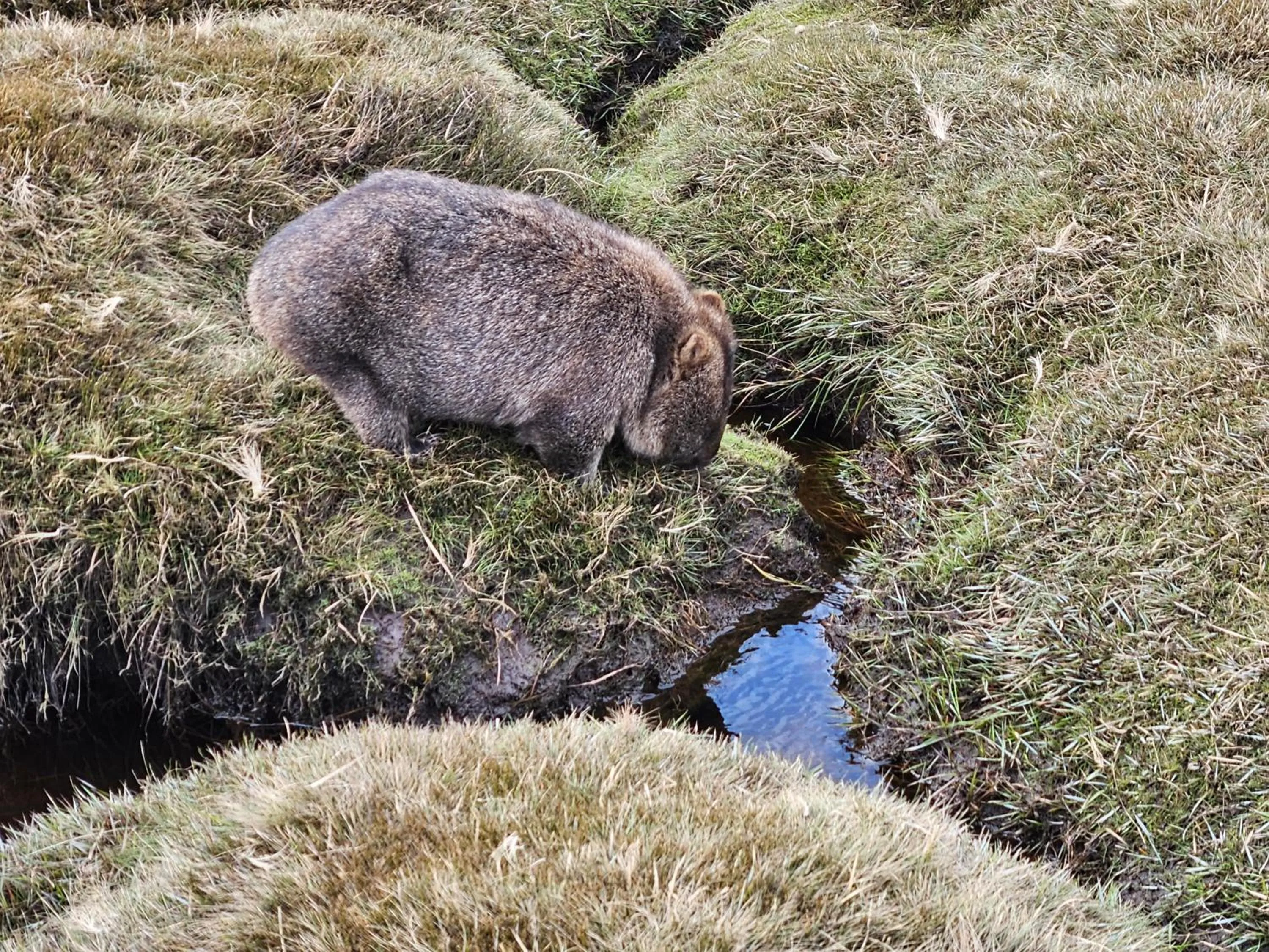 Nearby landmark in Cradle Alpine Retreat