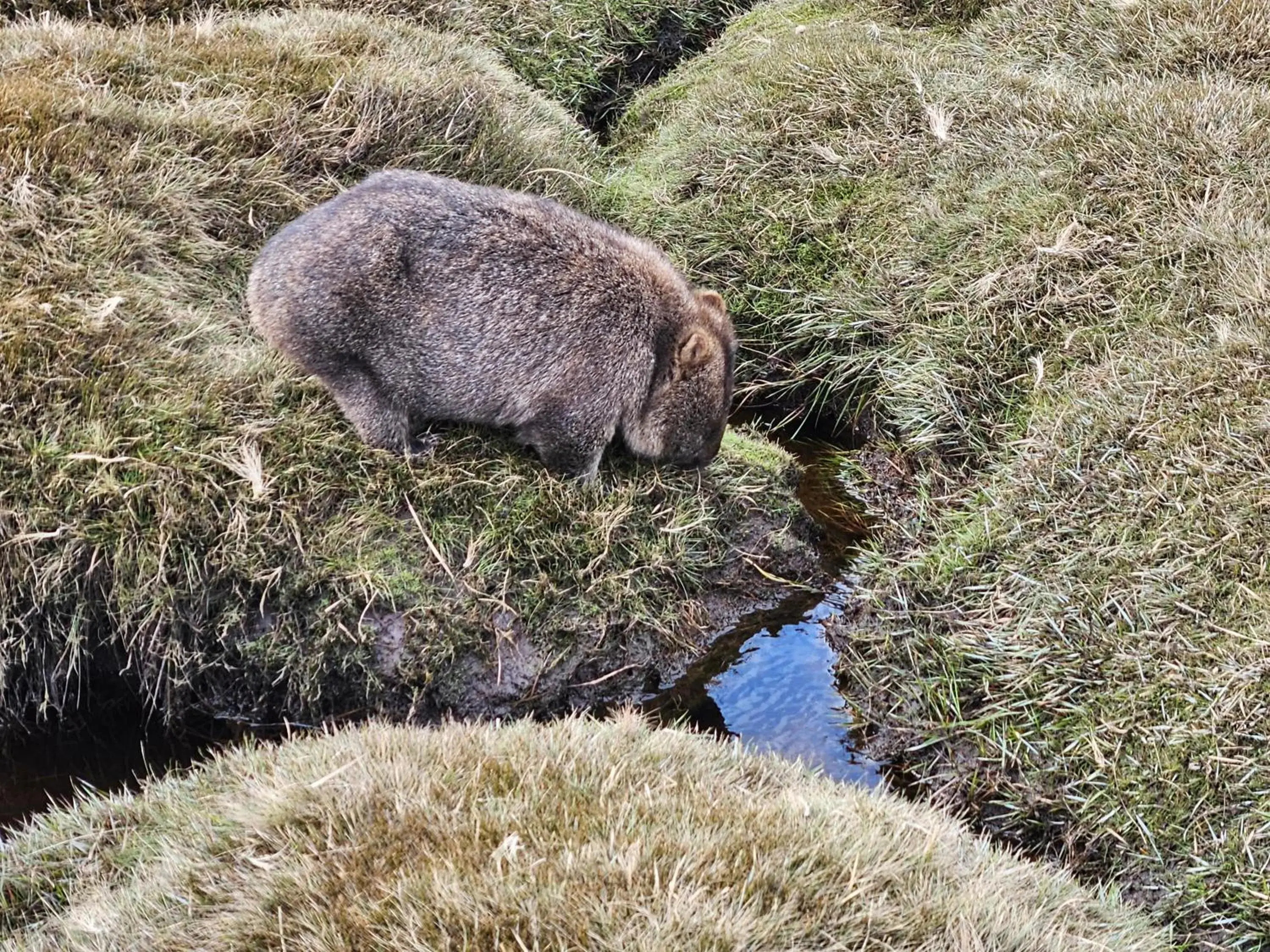 Cradle Alpine Retreat Cradle Alpine Retreat