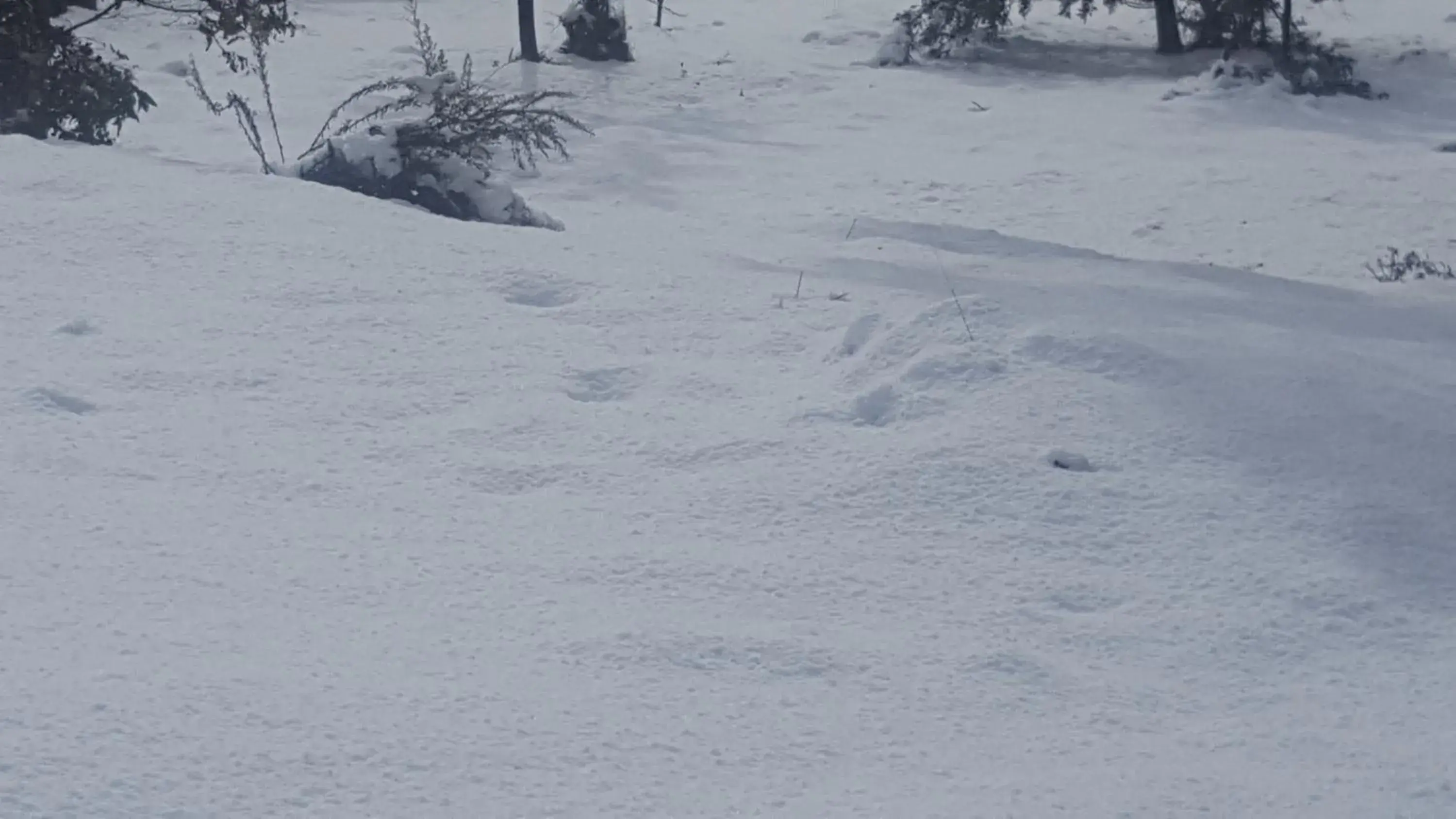 Property building in Cradle Alpine Retreat Property building in Cradle Alpine Retreat