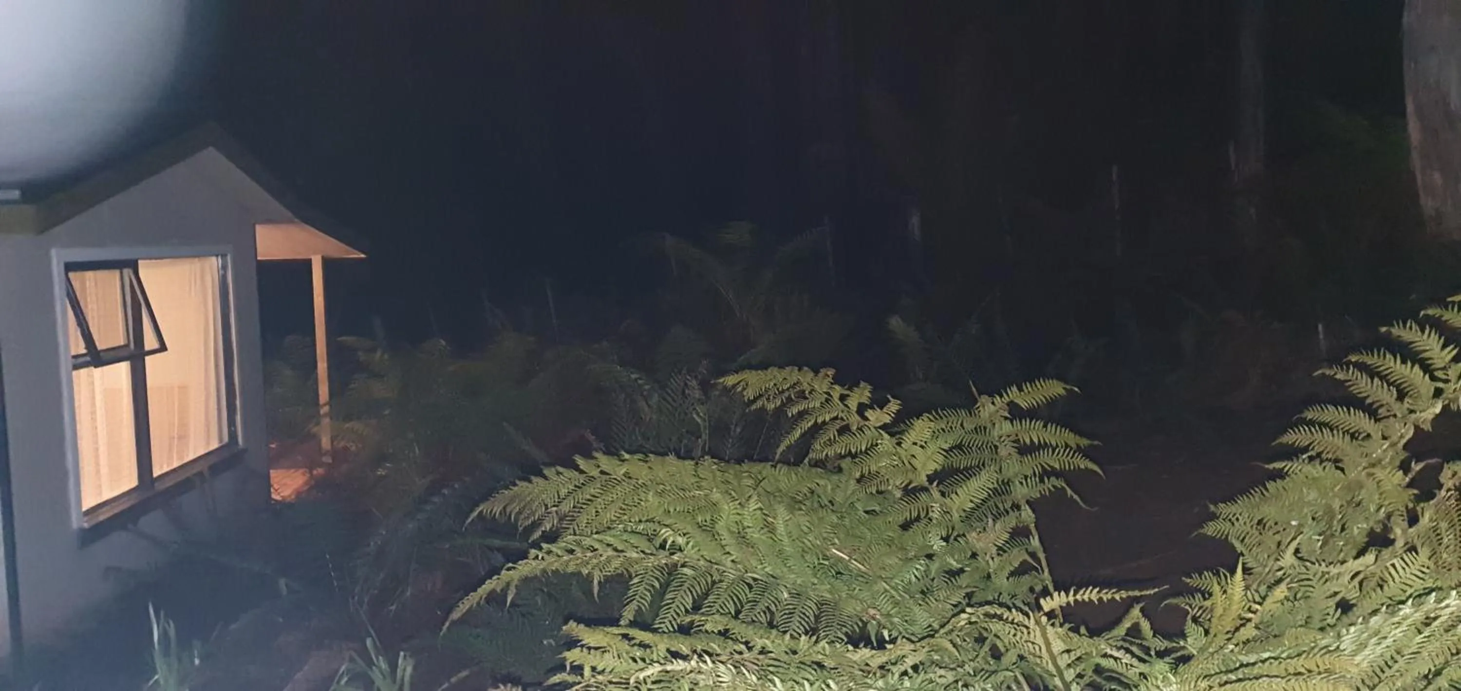 Garden in Cradle Alpine Retreat