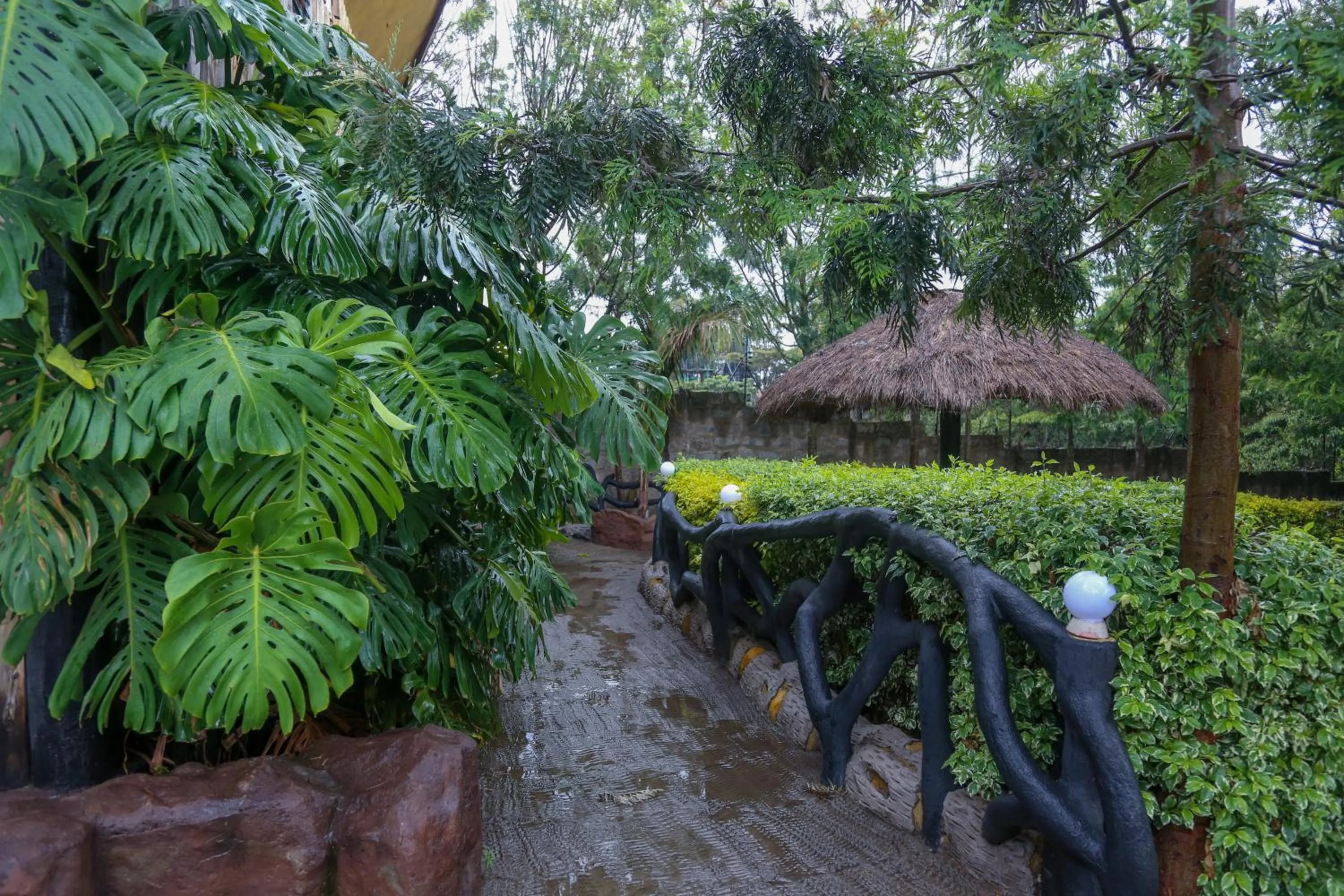 Garden in Dovenest Lodge