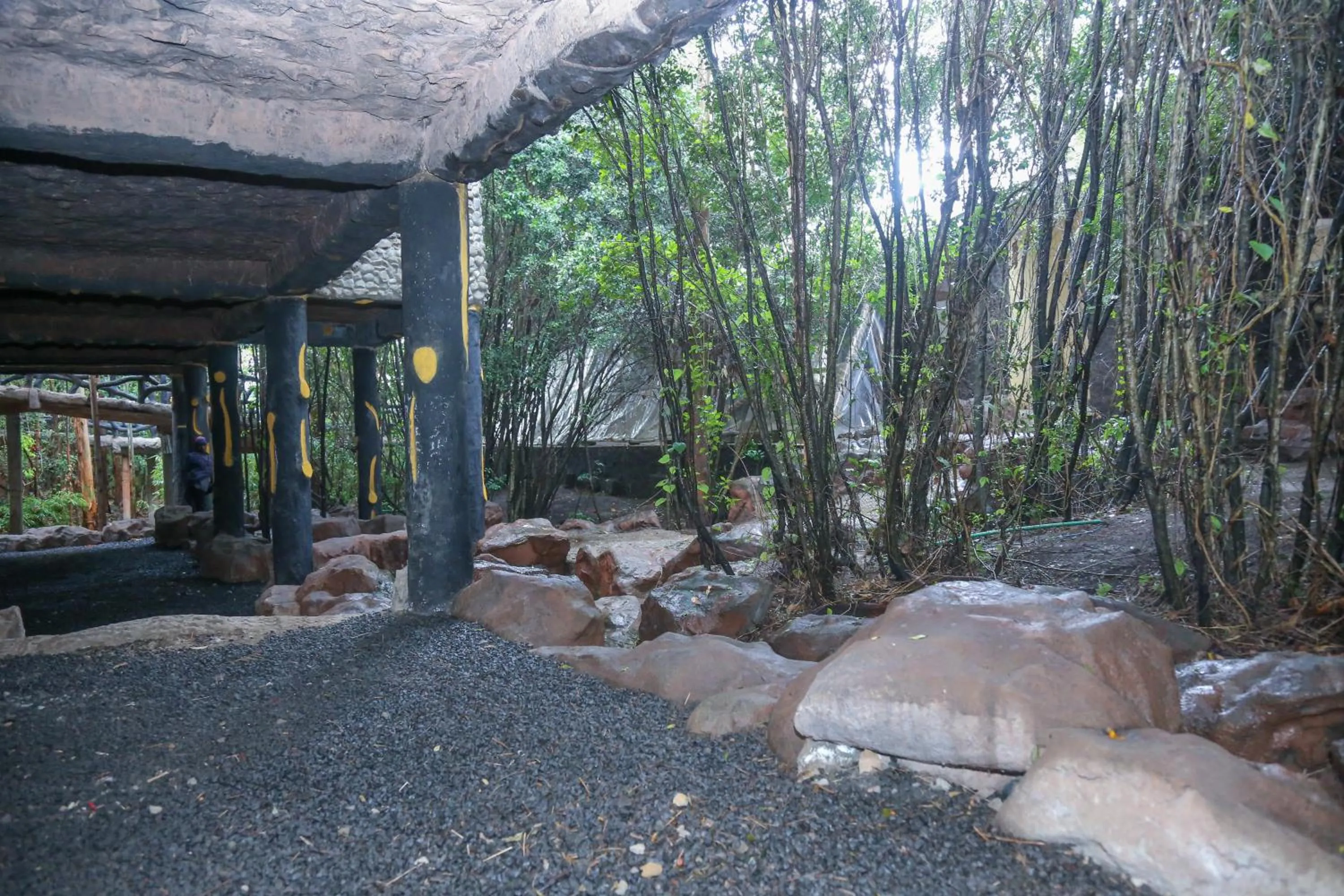Natural landscape in Dovenest Lodge