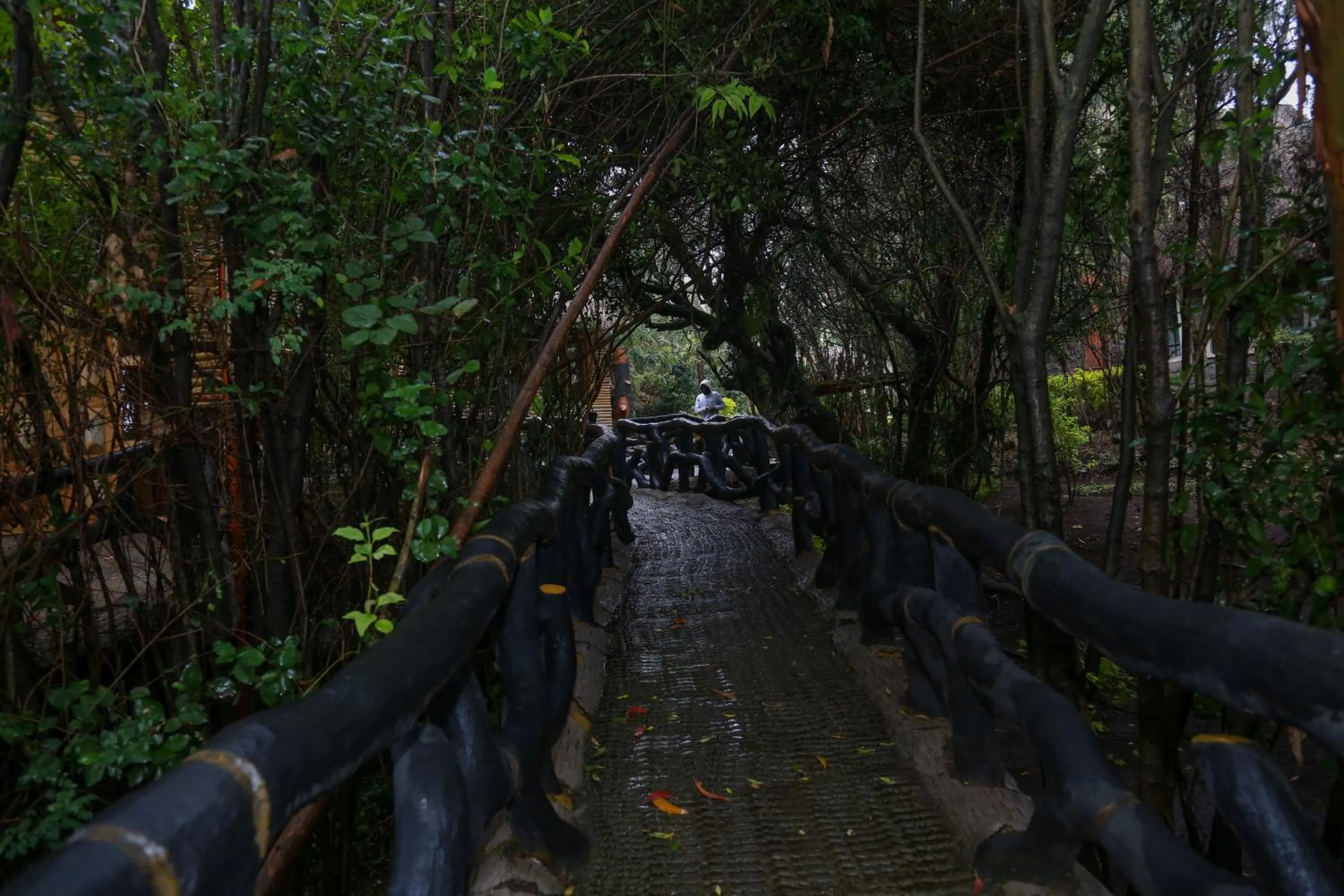 Natural landscape in Dovenest Lodge