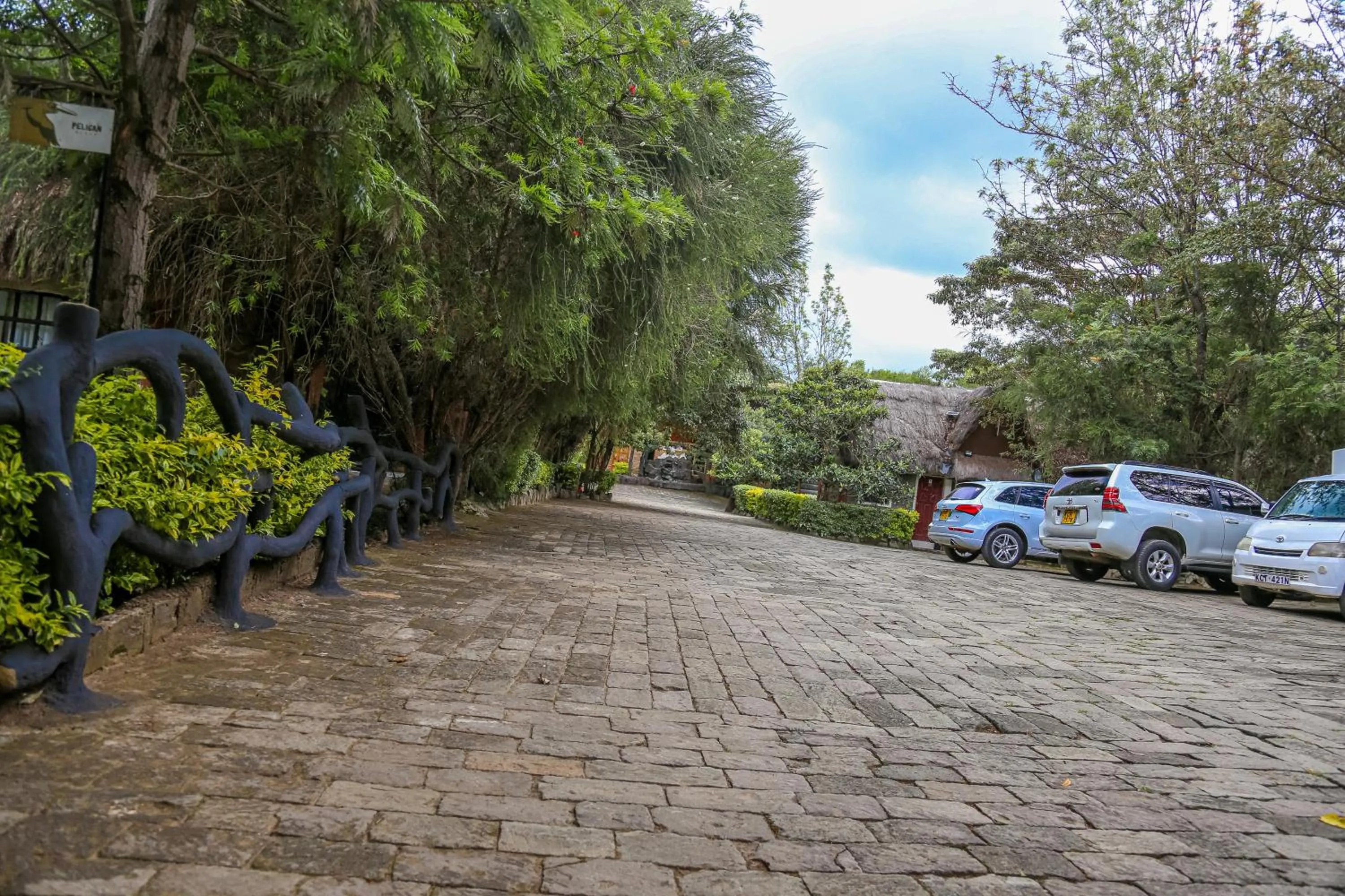 Parking in Dovenest Lodge