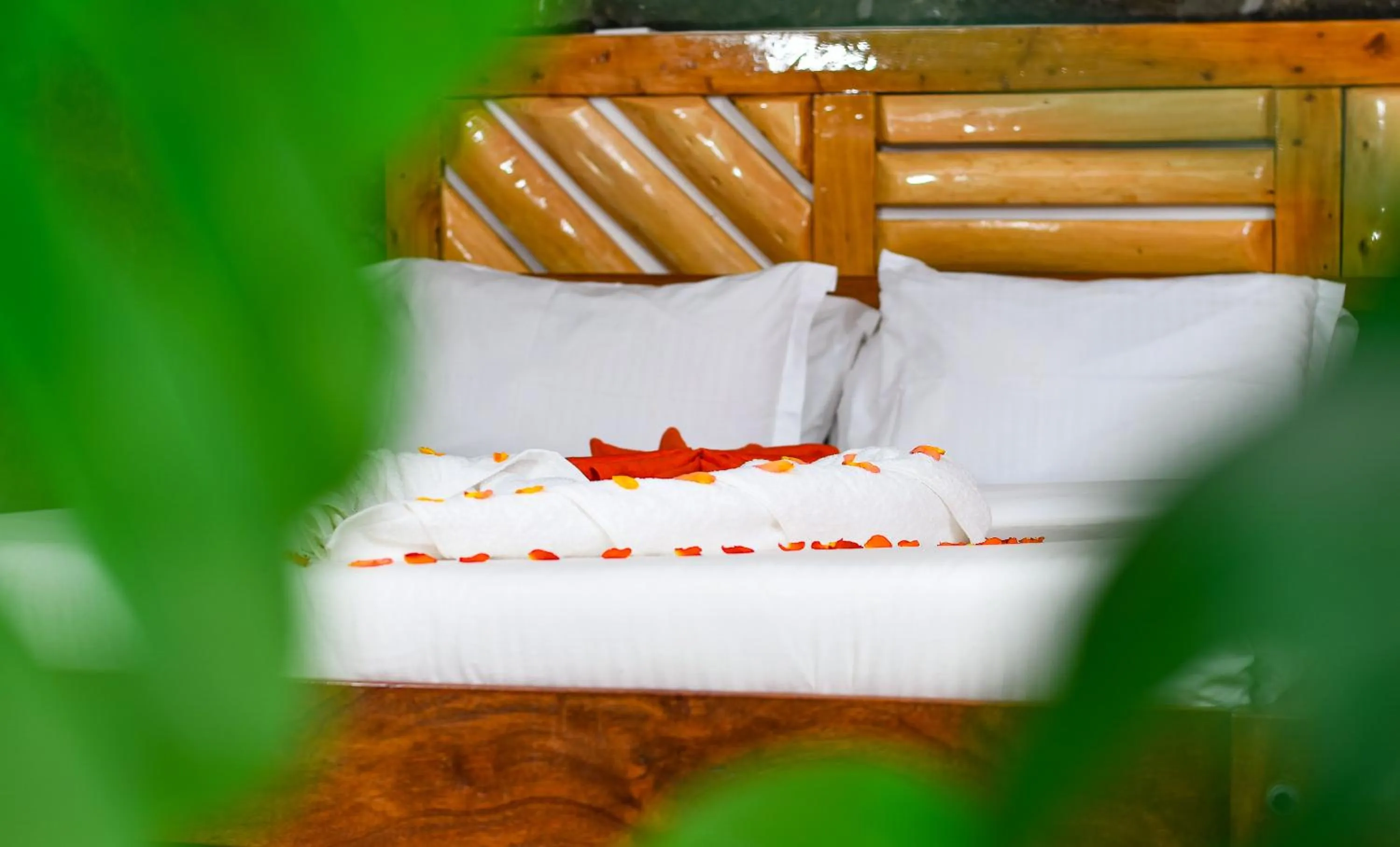 Bed in Dovenest Lodge