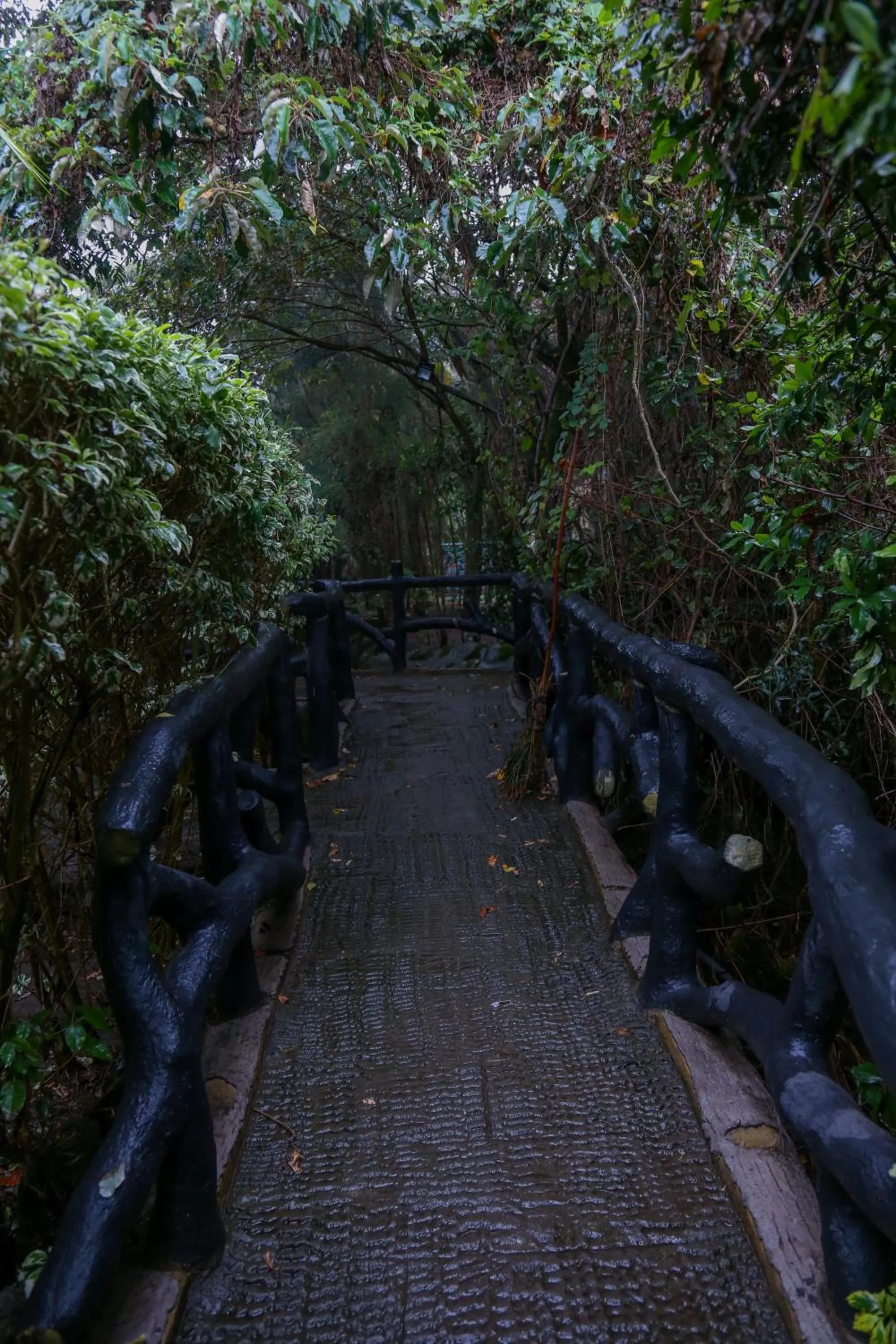 Garden view in Dovenest Lodge