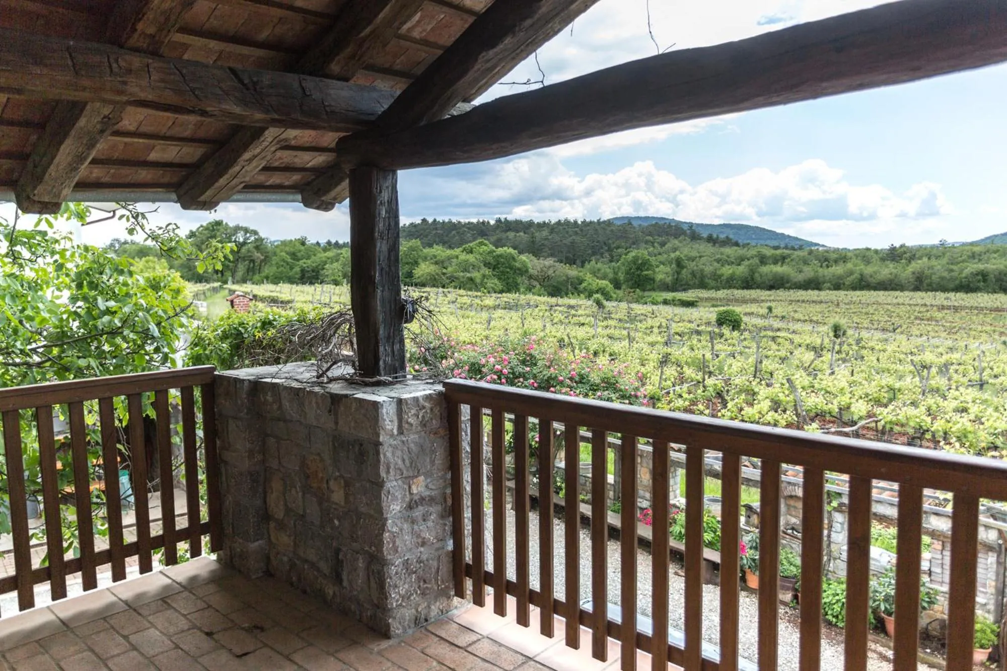View (from property/room) in Apartments Valentinus 1800