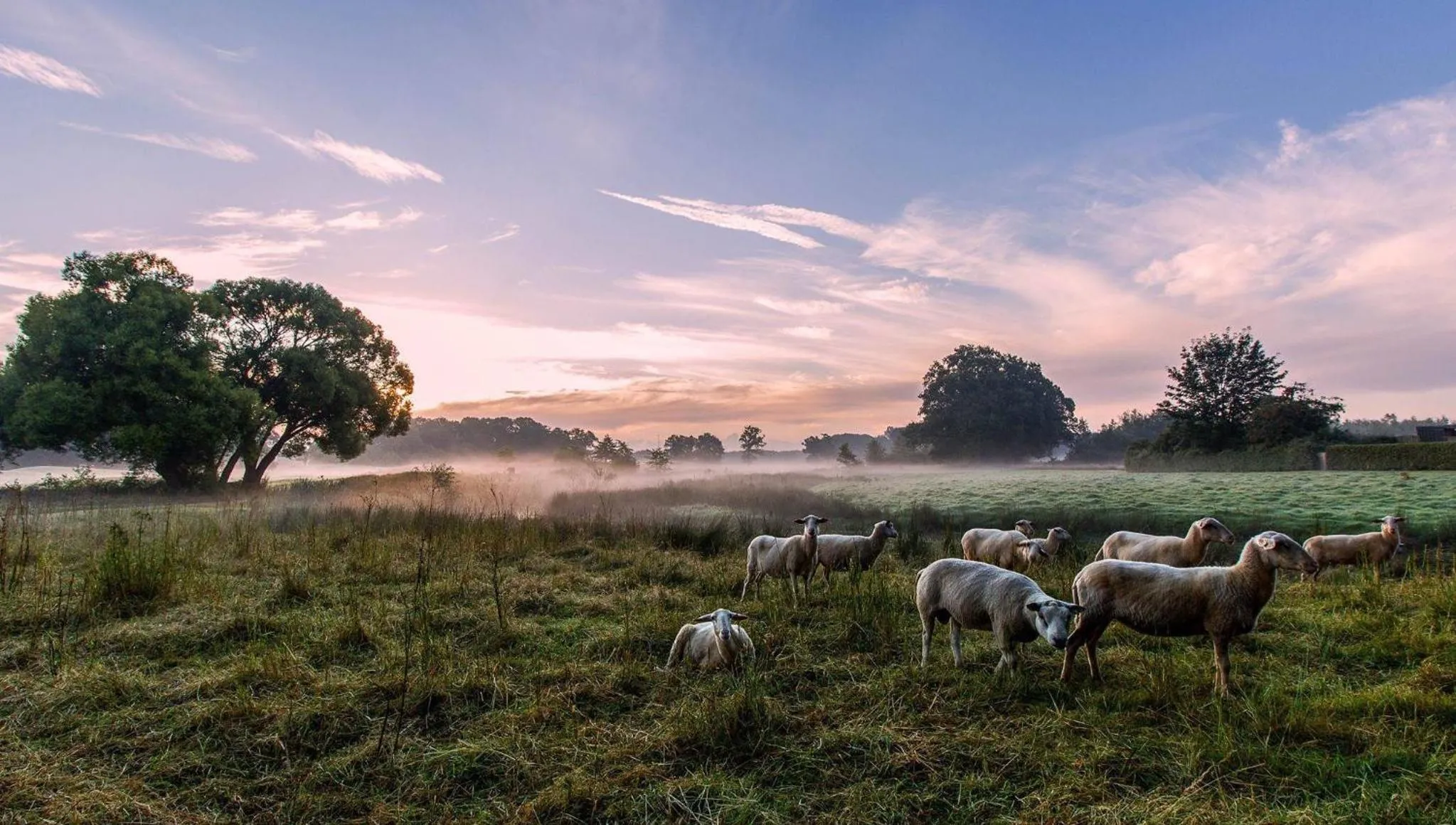 Neighbourhood in Hotel-Appartementen Klaver Vier