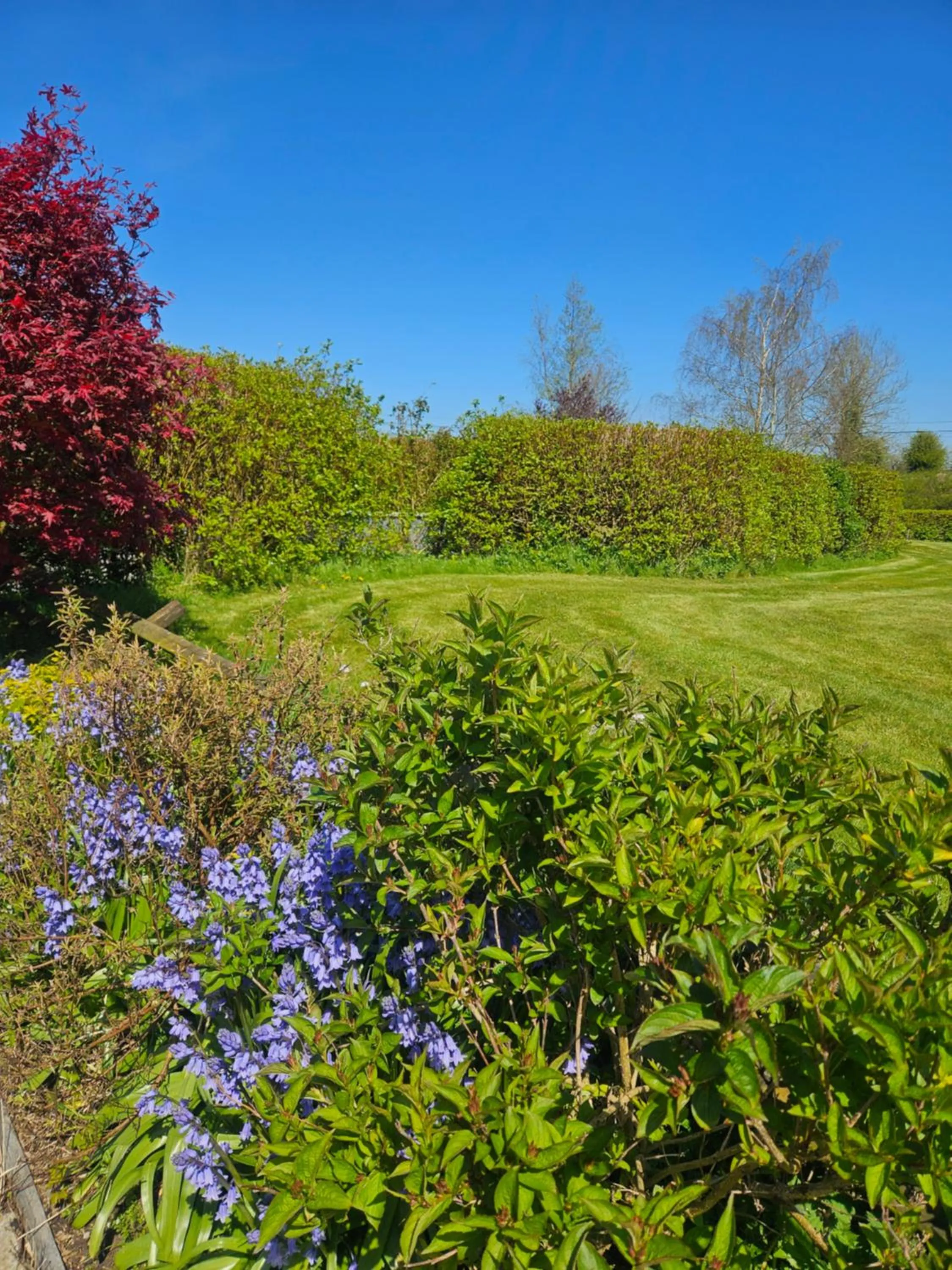 Garden in Ard Aoibhinn Roscommon Bed & Breakfast