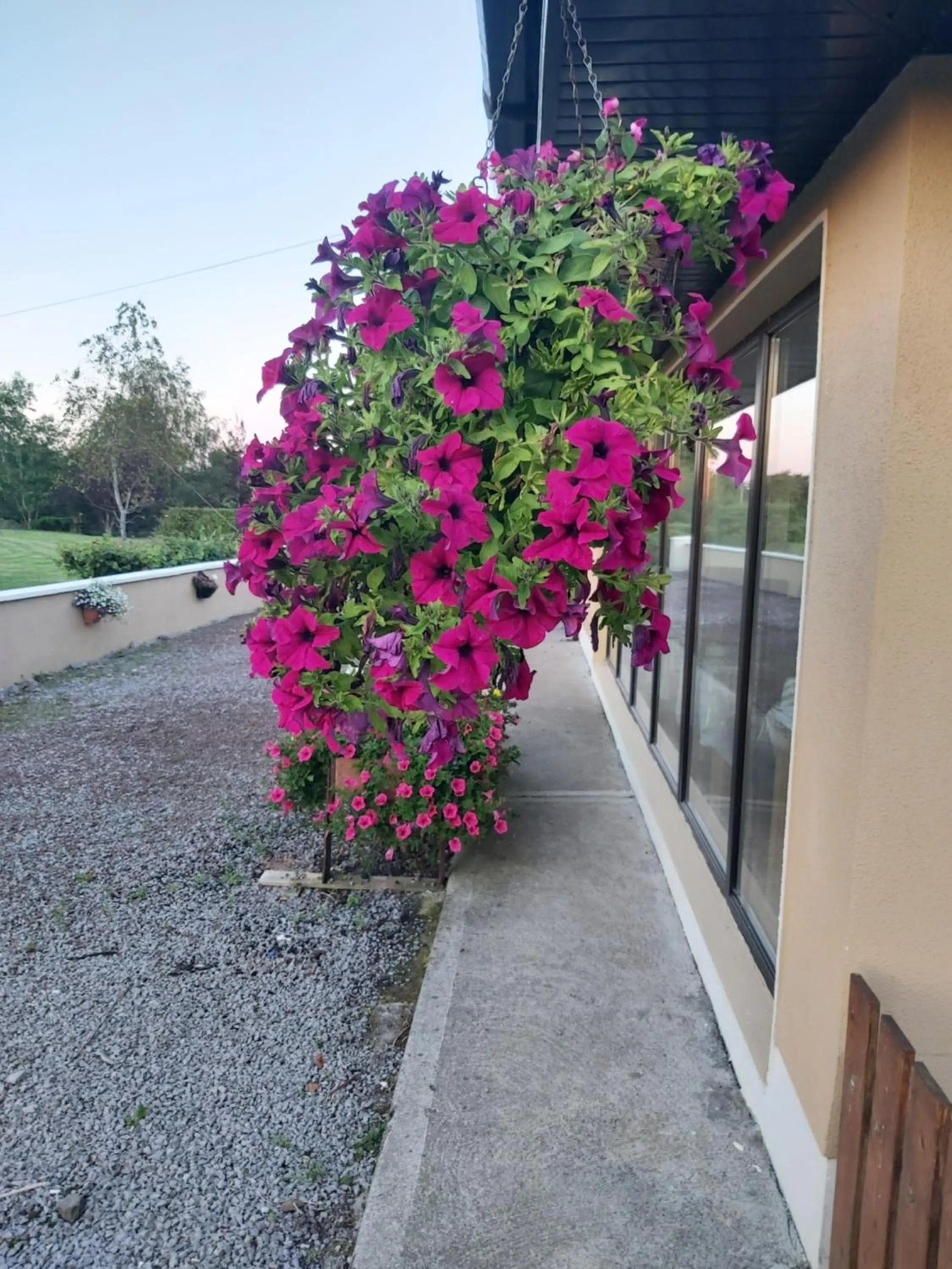 Property building in Ard Aoibhinn Roscommon Bed & Breakfast