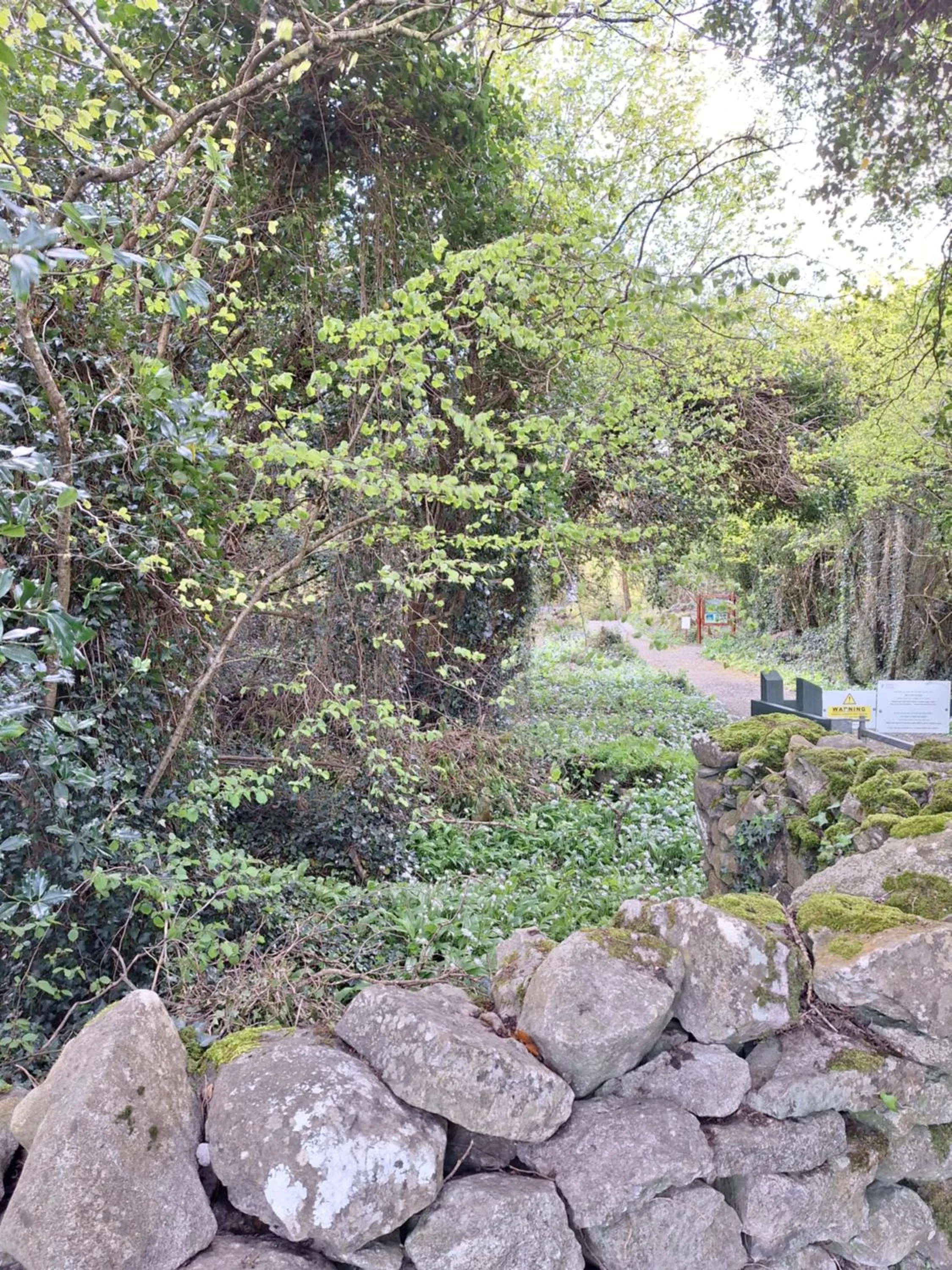 Ard Aoibhinn Roscommon Bed & Breakfast