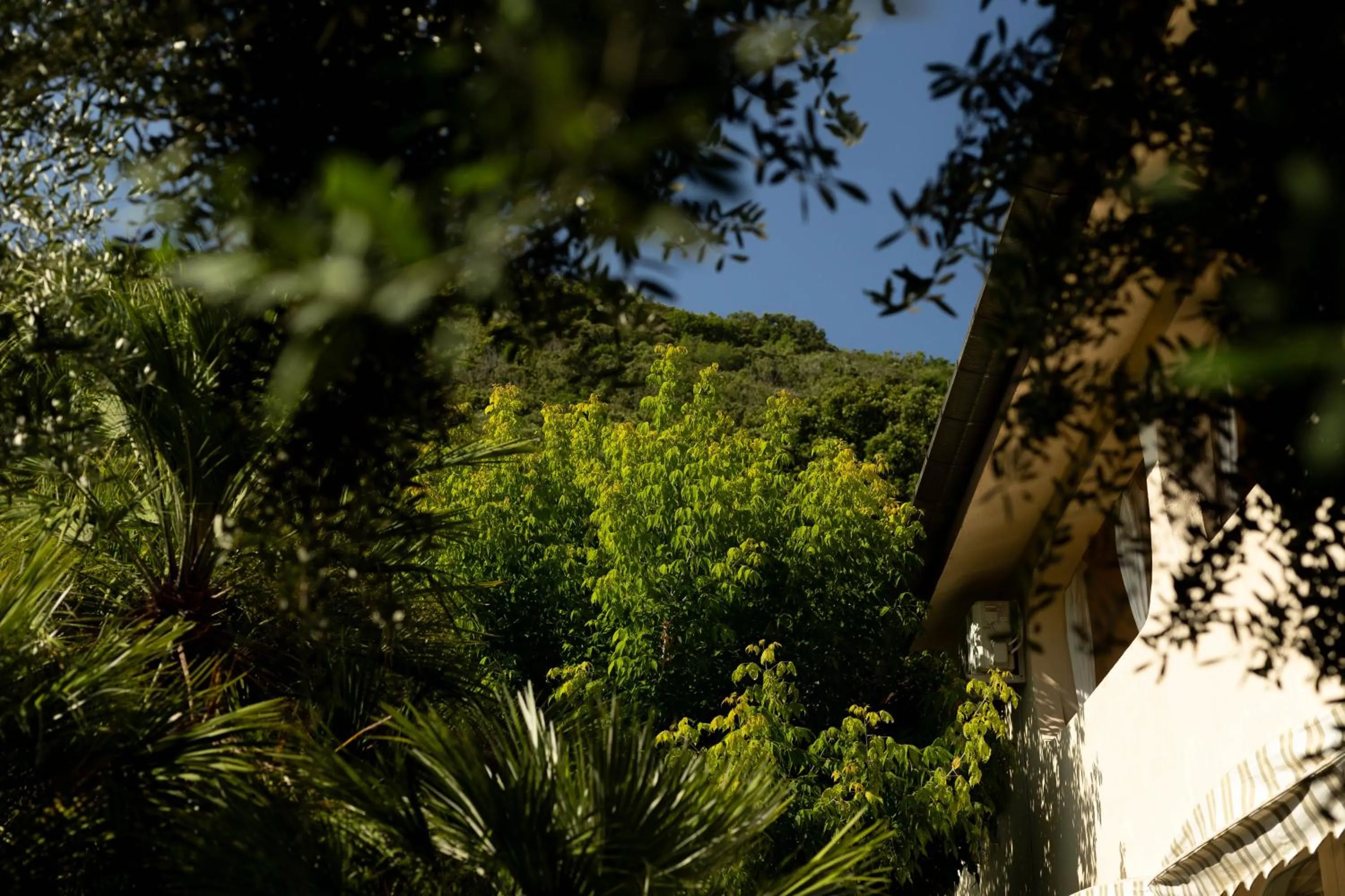 Garden in B&B Cavalieri