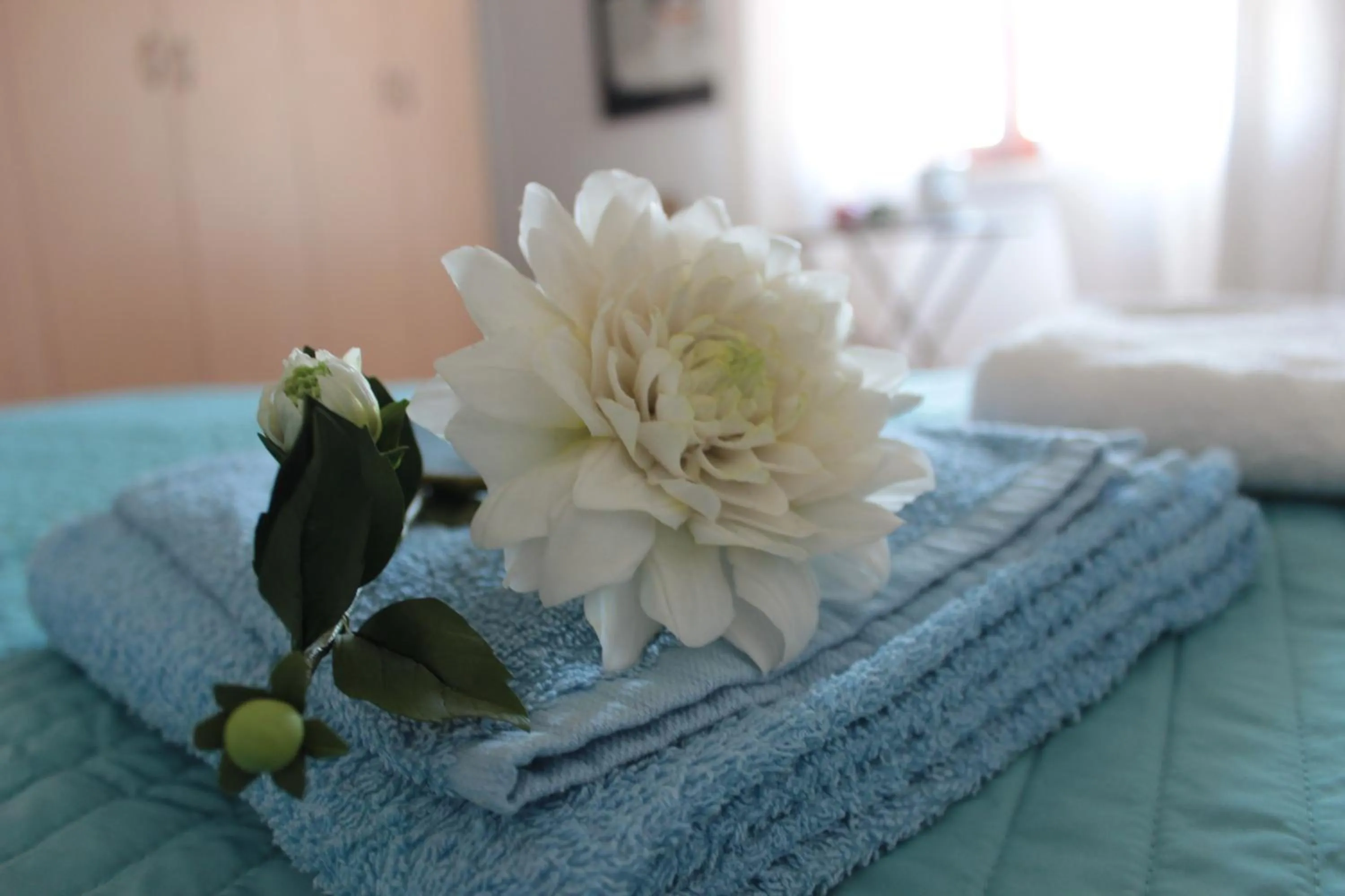 Bedroom, Bed in B&B Cavalieri