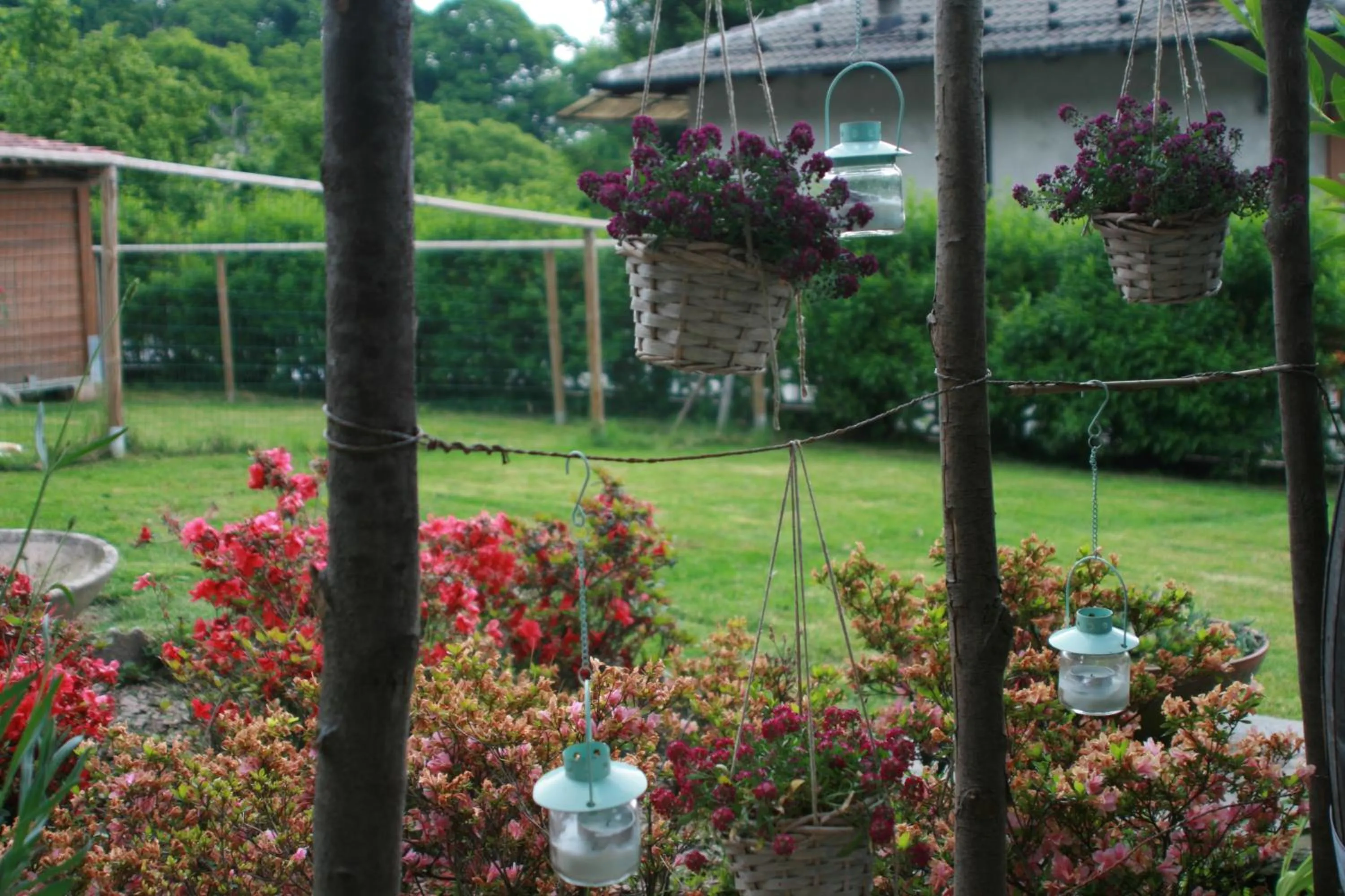 Garden in Guest House Al Devesio