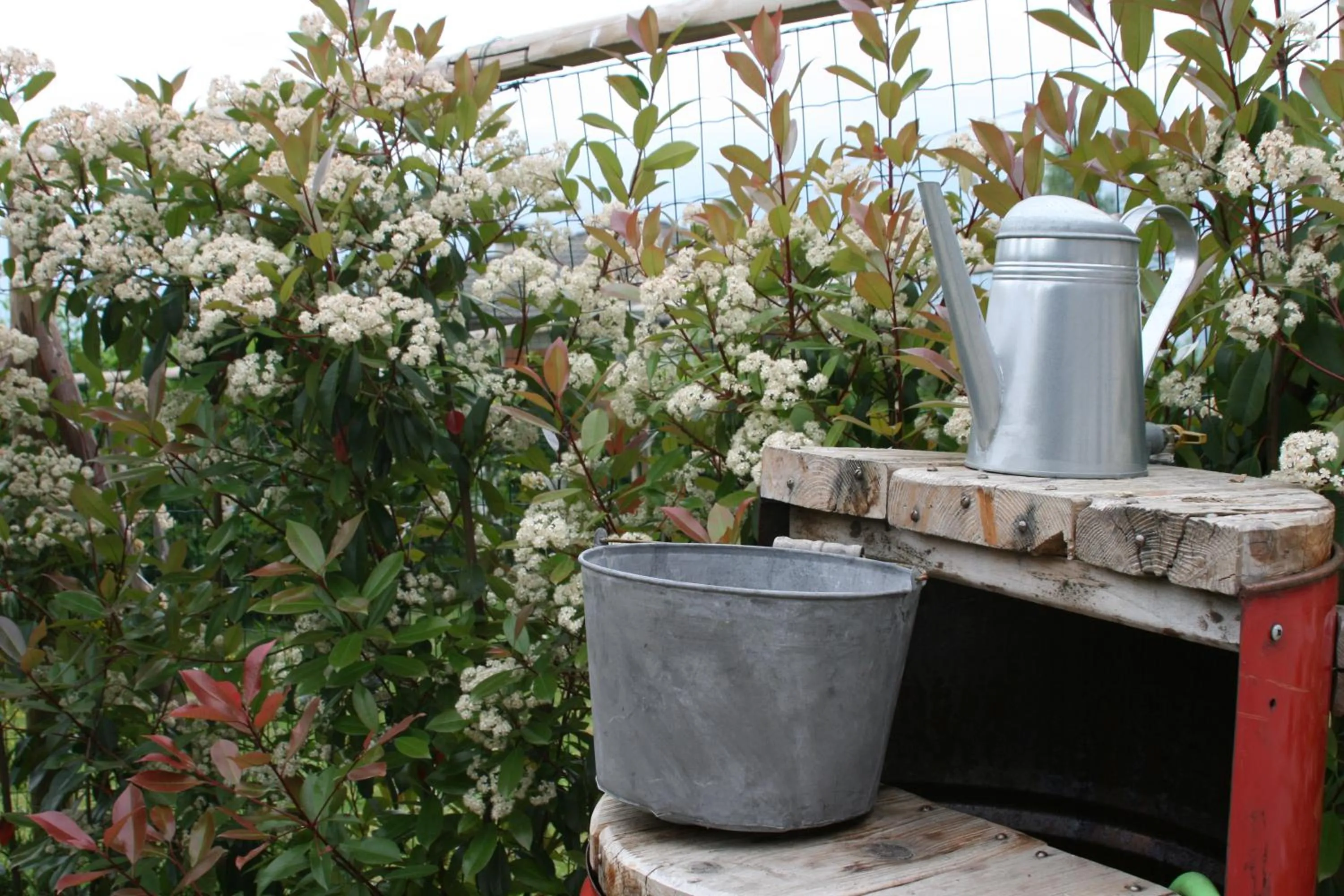 Garden in Guest House Al Devesio