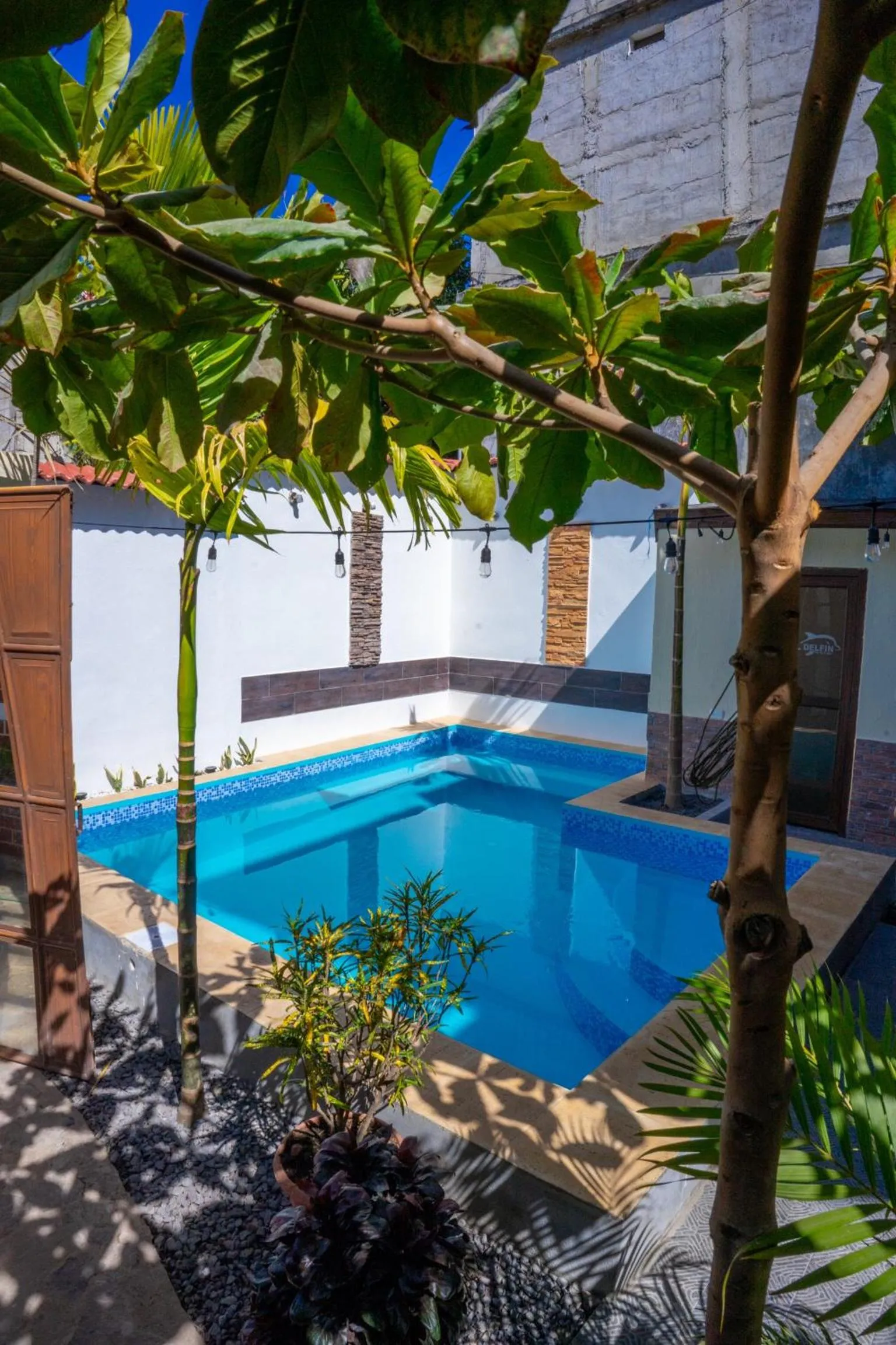 Swimming pool in El Delfin Hotel y Restaurante