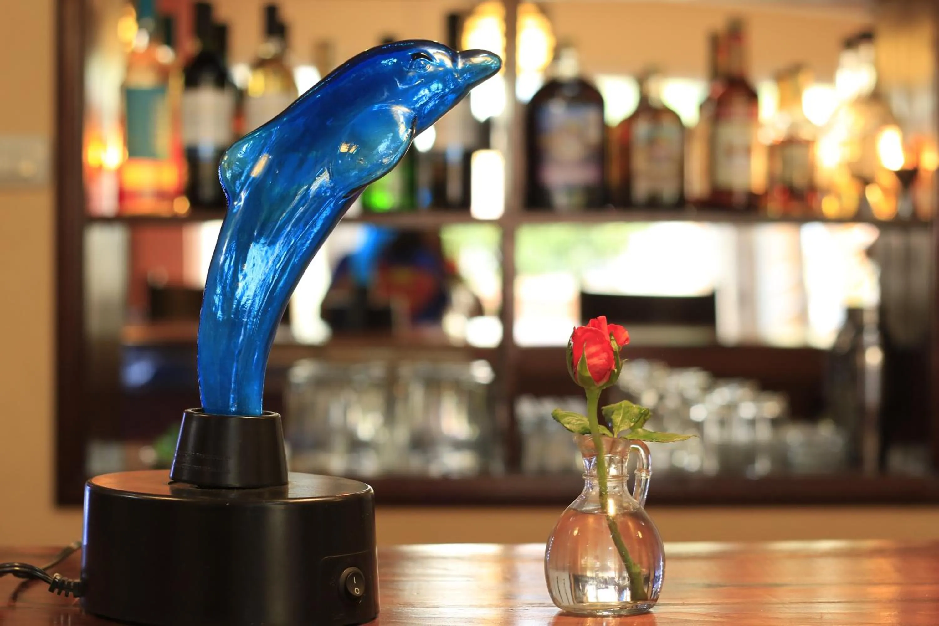 Restaurant/places to eat in El Delfin Hotel y Restaurante