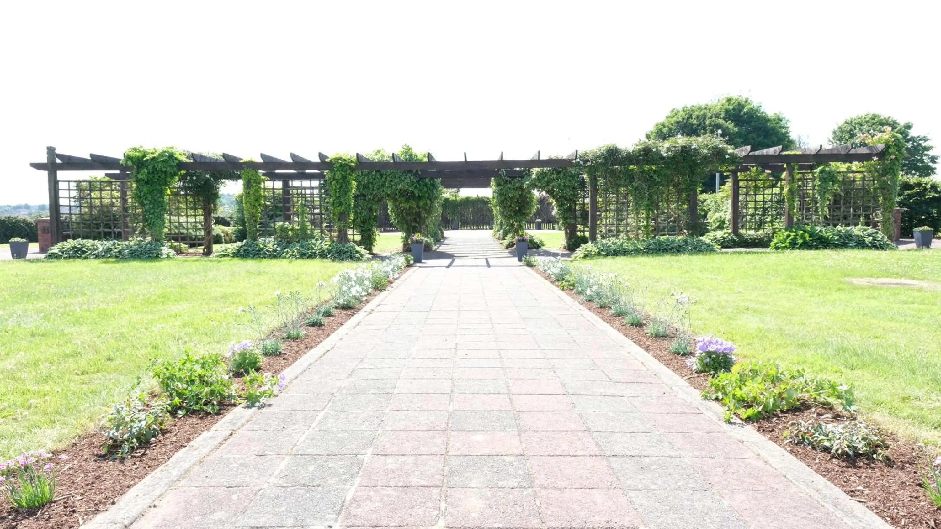 Spring in The Golden Jubilee Hotel